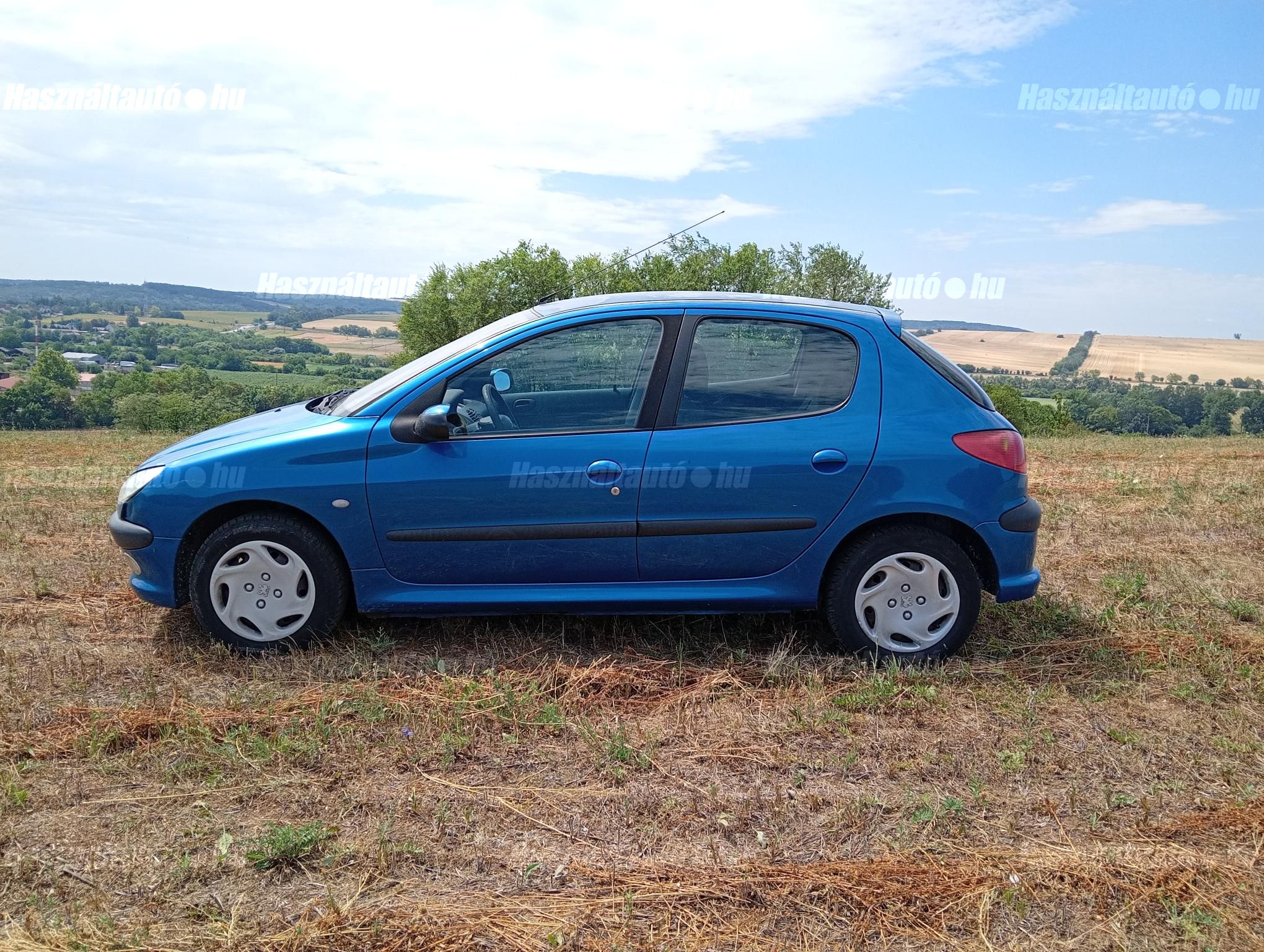 PEUGEOT 206 2003/9 - 1