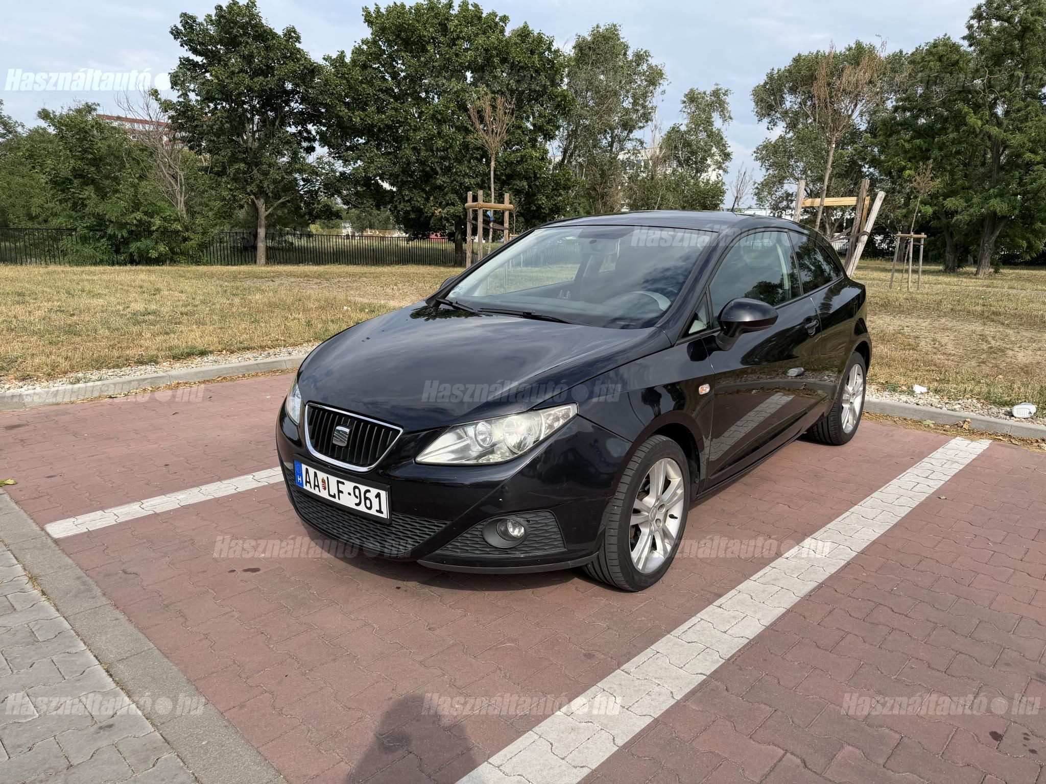 SEAT IBIZA 2009/5 - 1