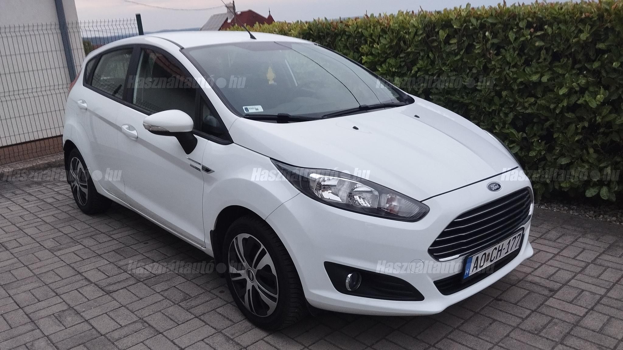 FORD FIESTA 2014/3 - 1
