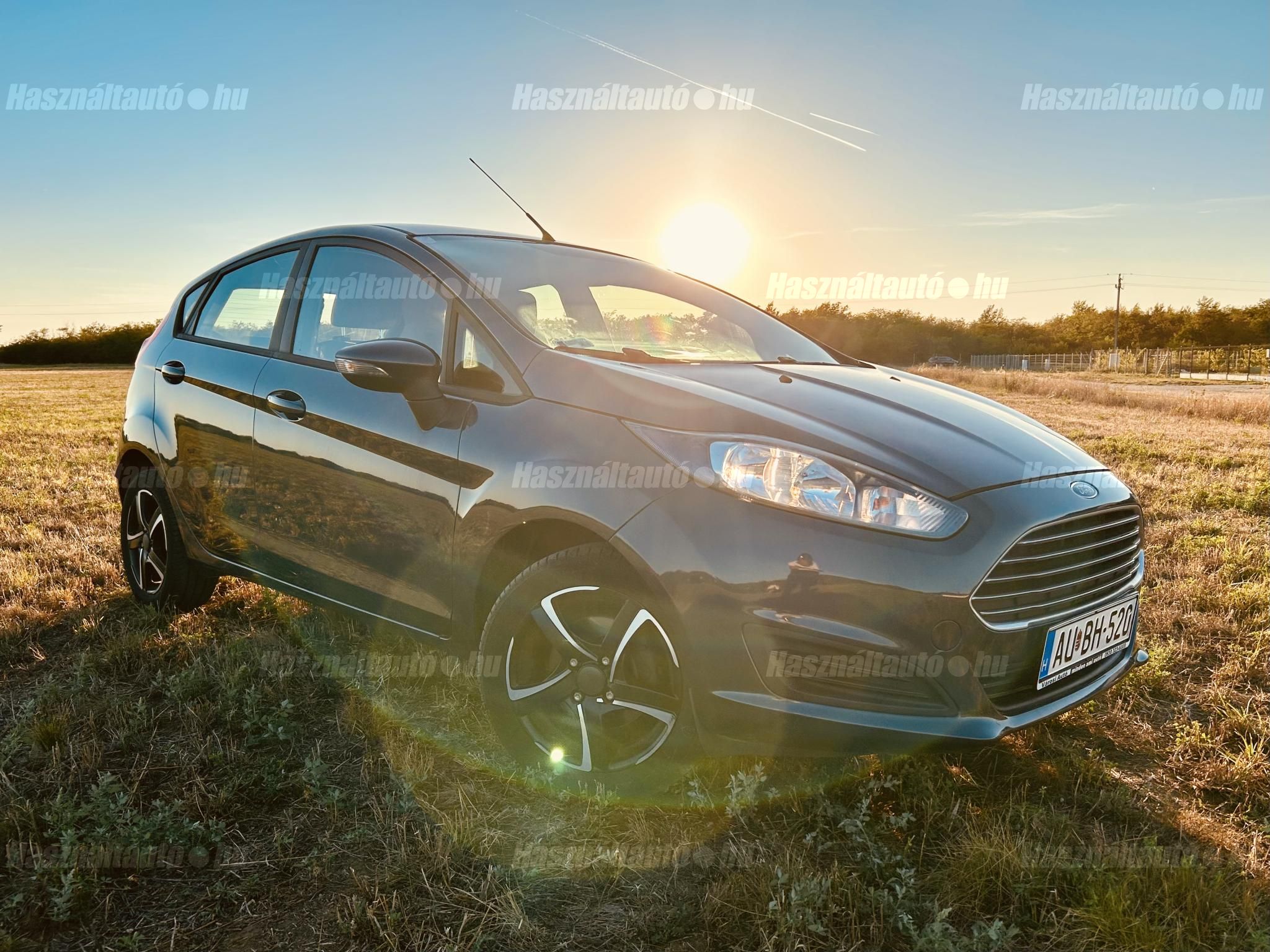 FORD FIESTA 2014/2 - 1