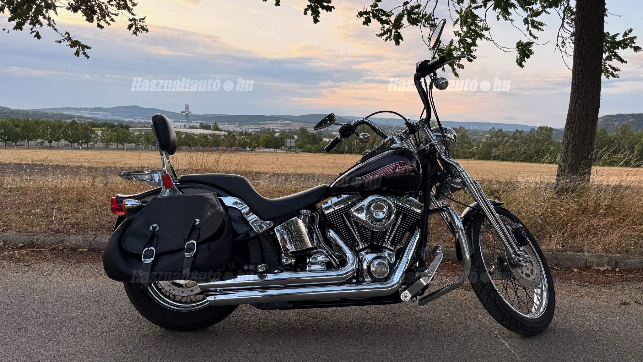 HARLEY-DAVIDSON SOFTAIL 2001/1 - 1
