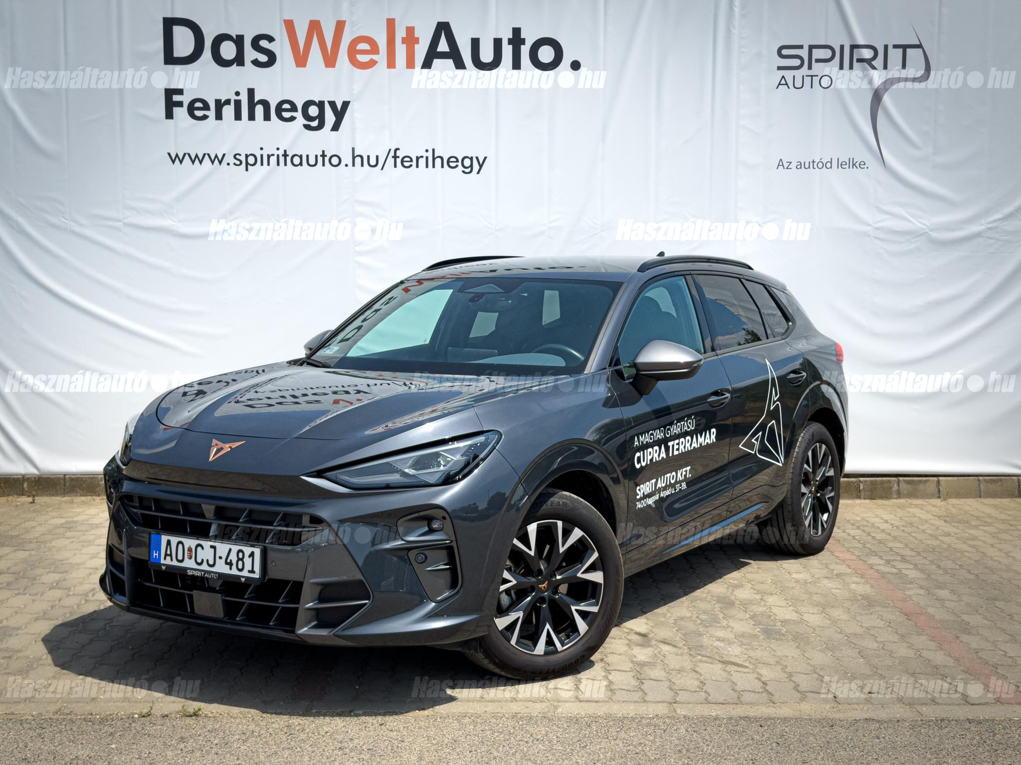 CUPRA TERRAMAR 2025/6 - 1