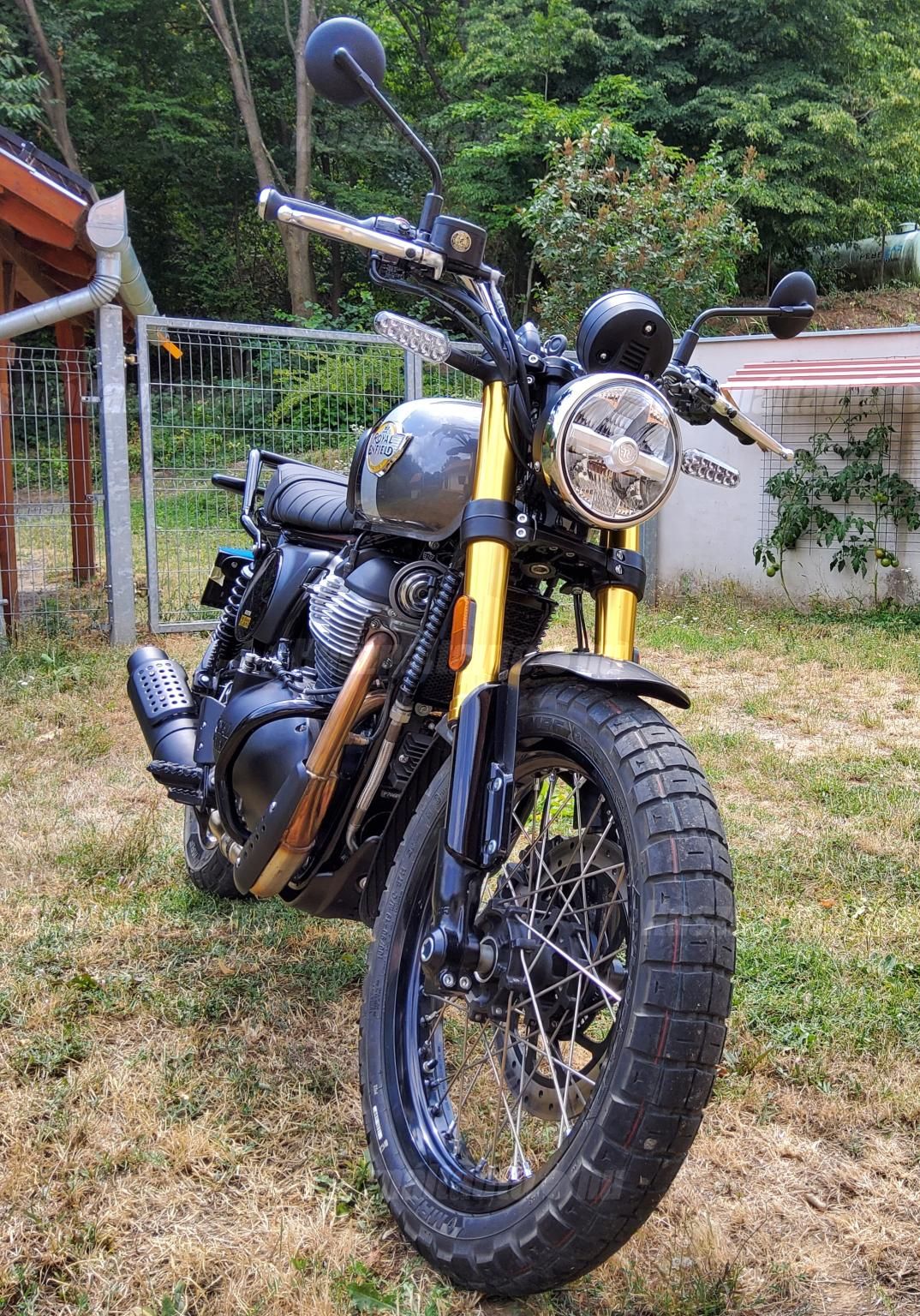 ROYAL ENFIELD BEAR 650 2026/2 - 1