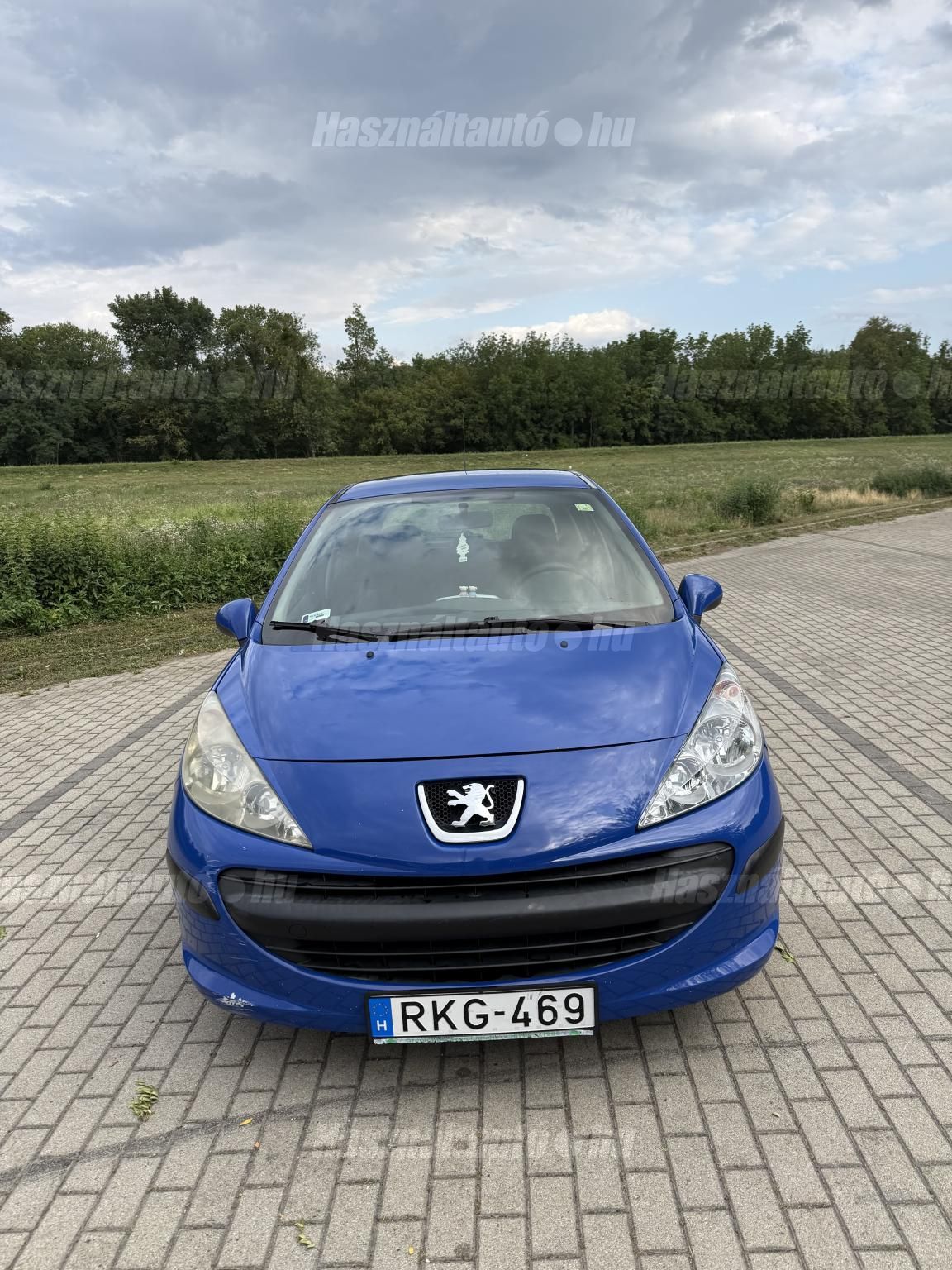 PEUGEOT 207 2006/8 - 1