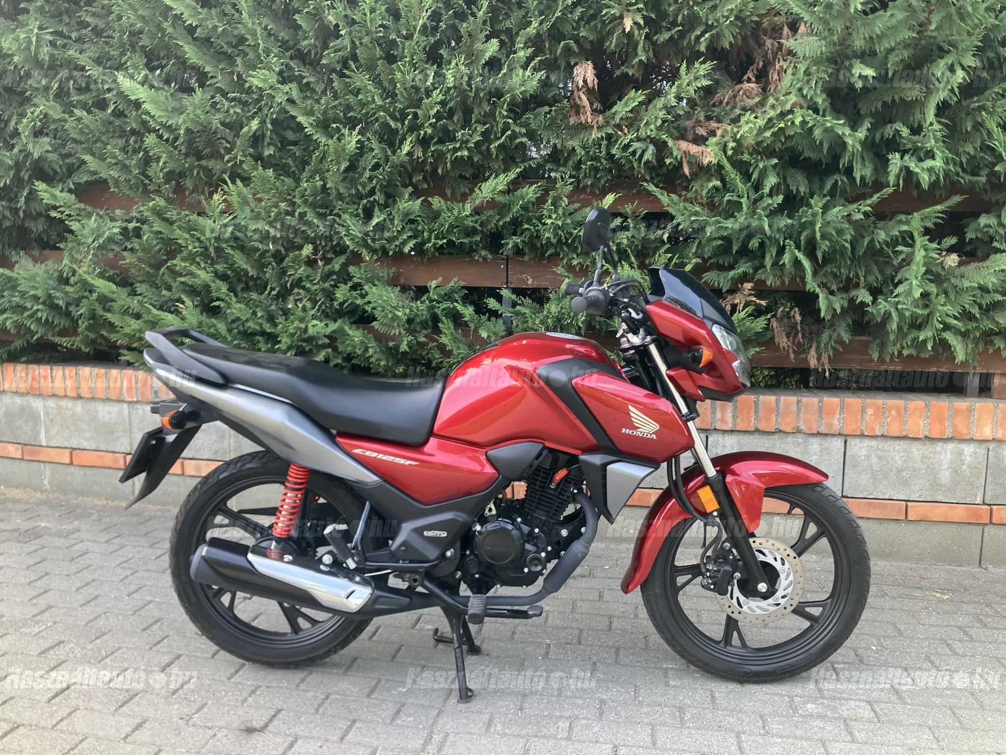 HONDA CBF 125 2022/3 - 1