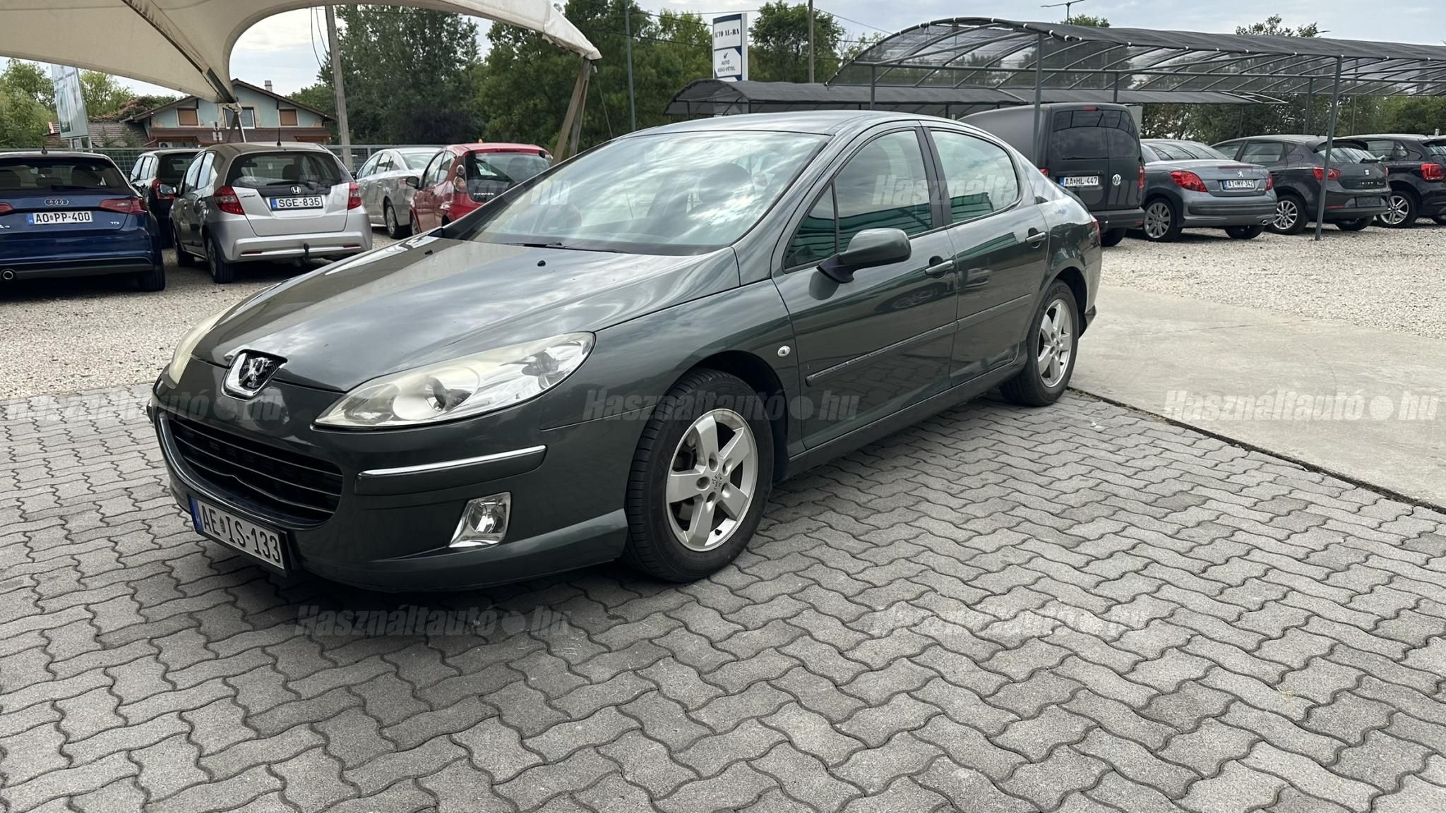 PEUGEOT 407 2007/10 - 1