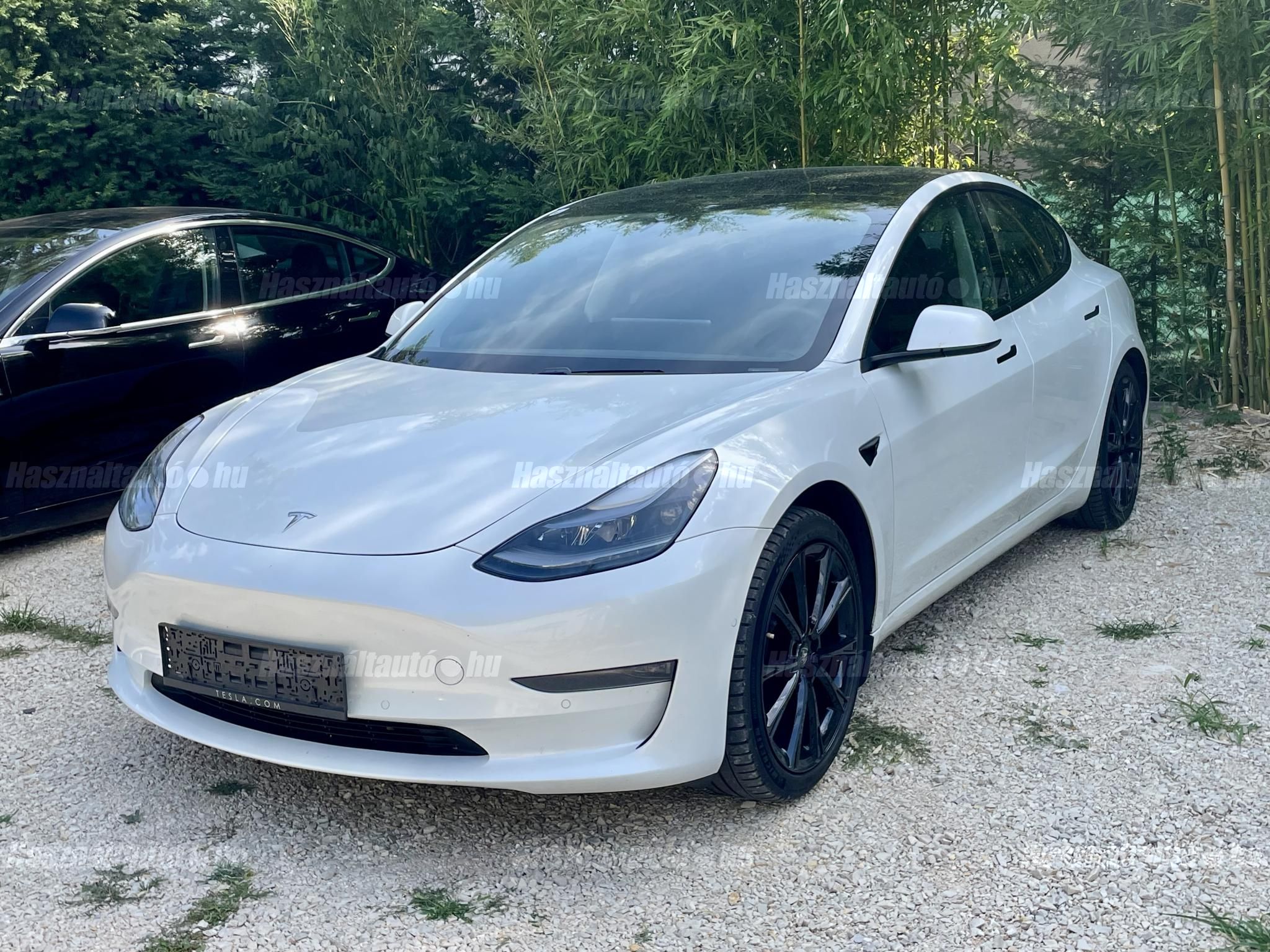 TESLA MODEL 3 2021/6 - 1