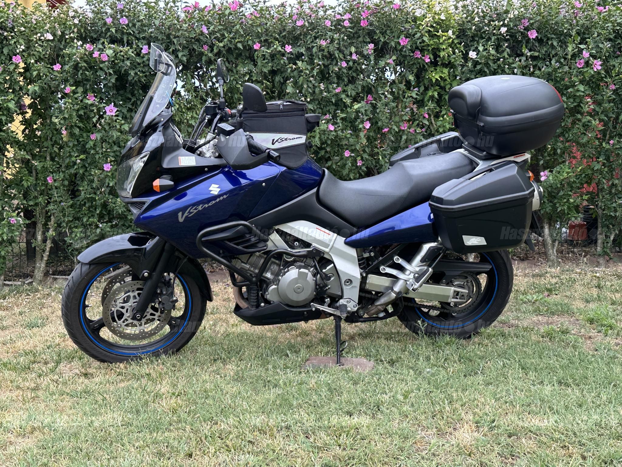 SUZUKI DL 1000 2004/7 - 1