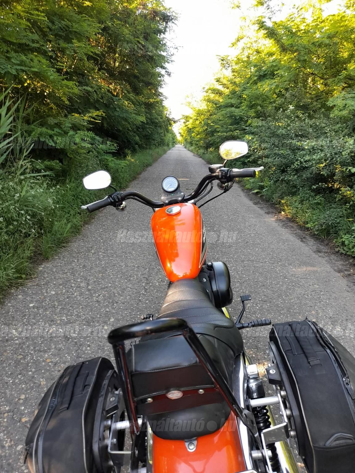 HARLEY-DAVIDSON SPORTSTER 883 R 2012/10 - 1