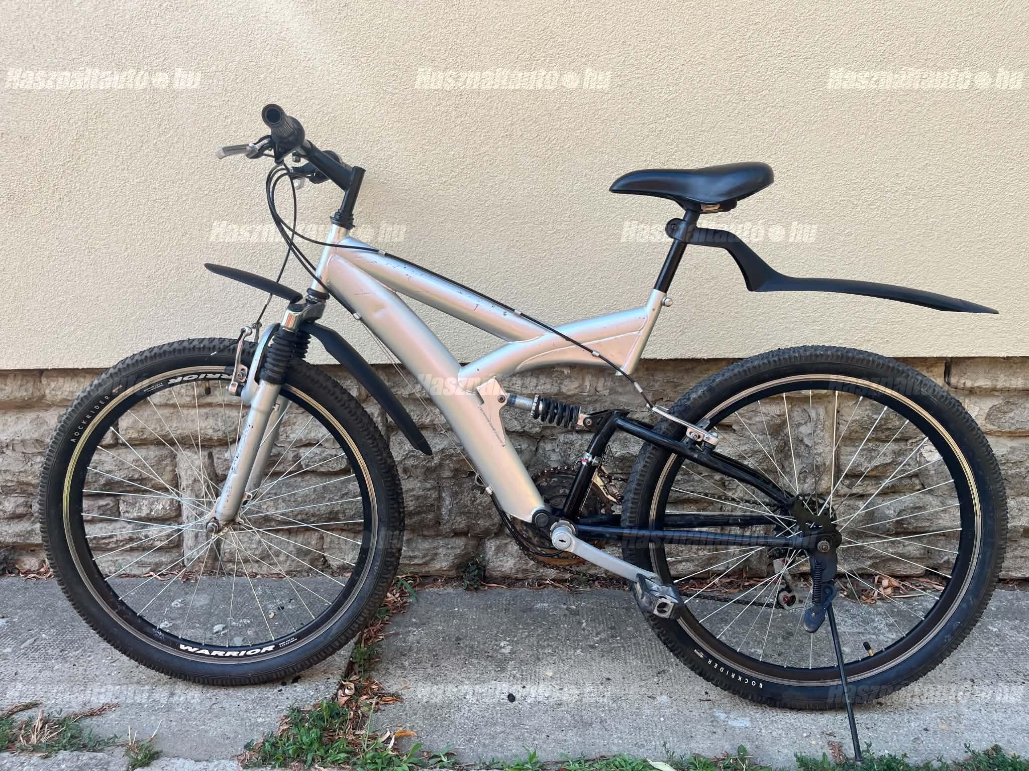 BICYCLE 2010 - 1