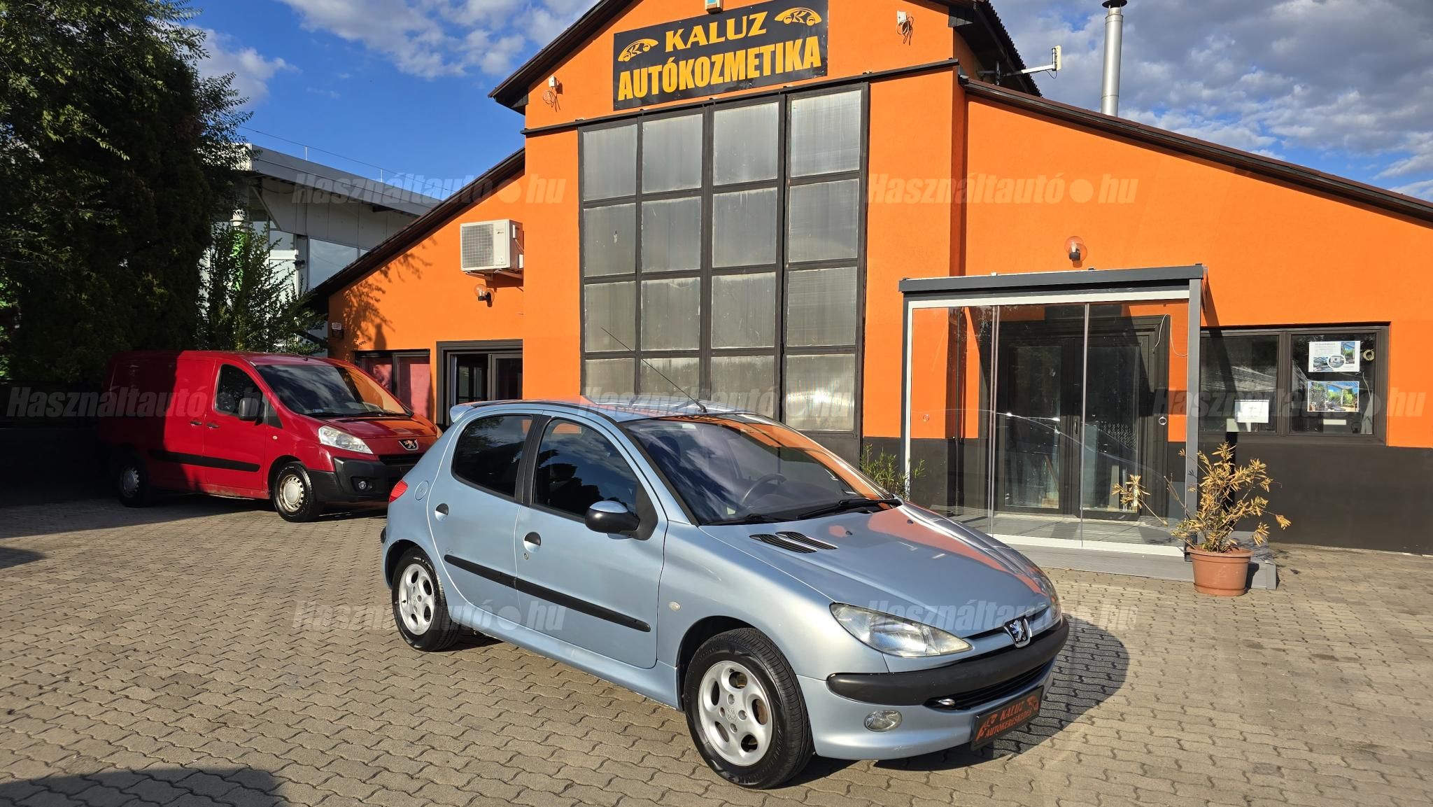 PEUGEOT 206 2003/1 - 1