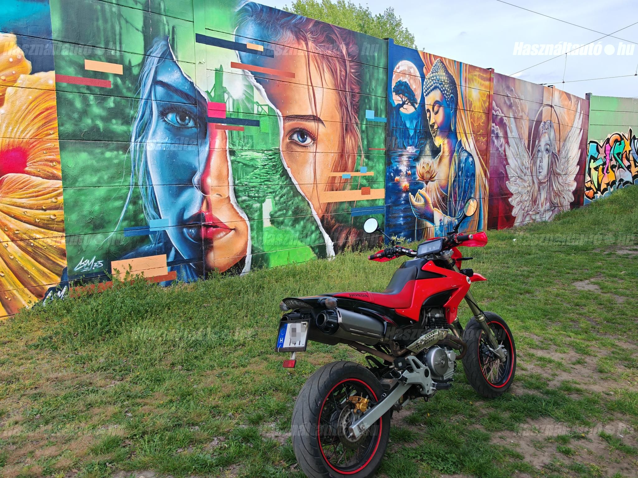 HONDA FMX 650 2005/3 - 1