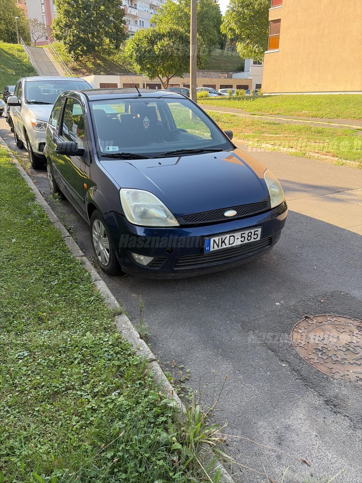 FORD FIESTA 2003/3 - 1