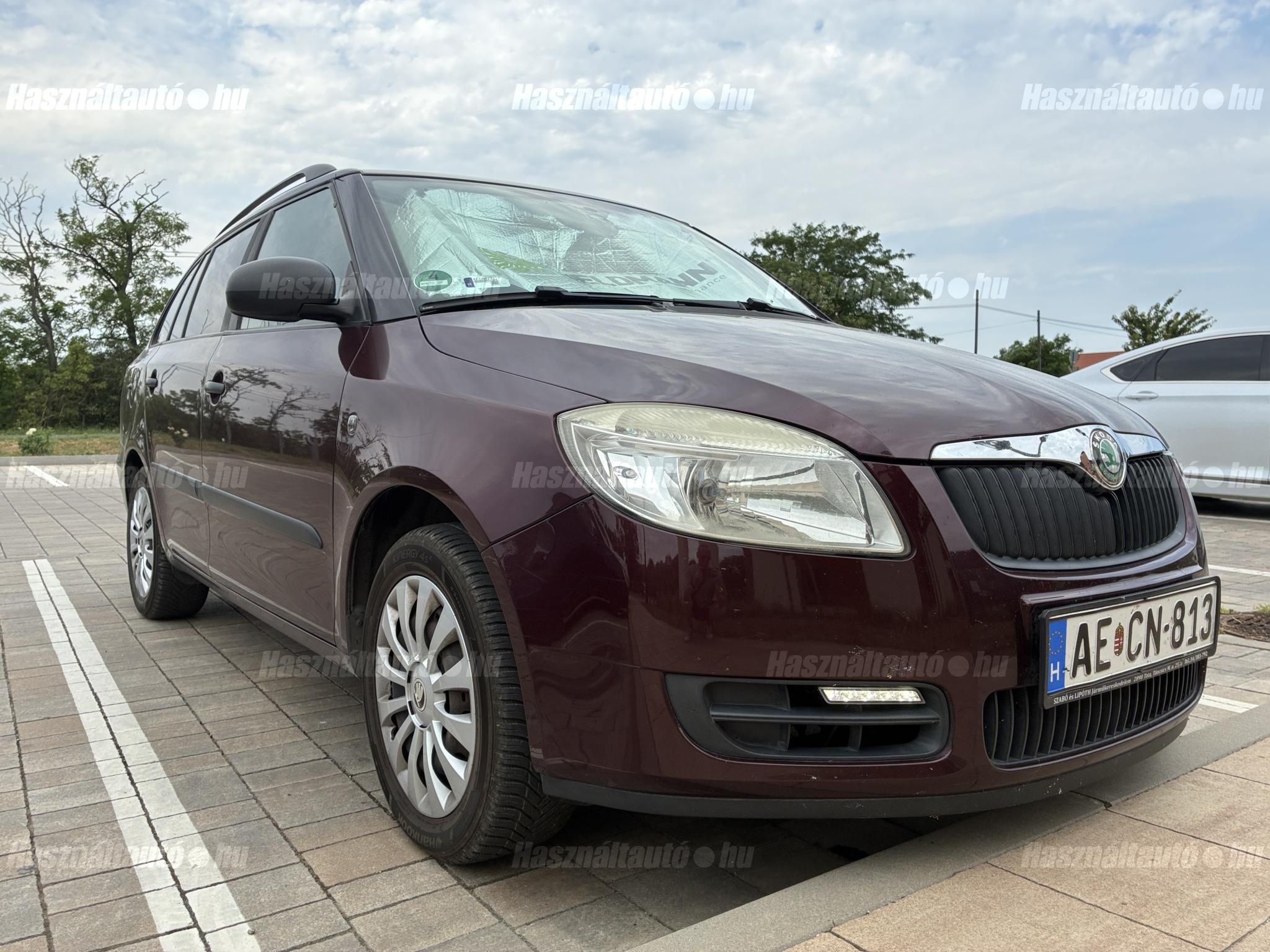 SKODA FABIA 2009 - 1