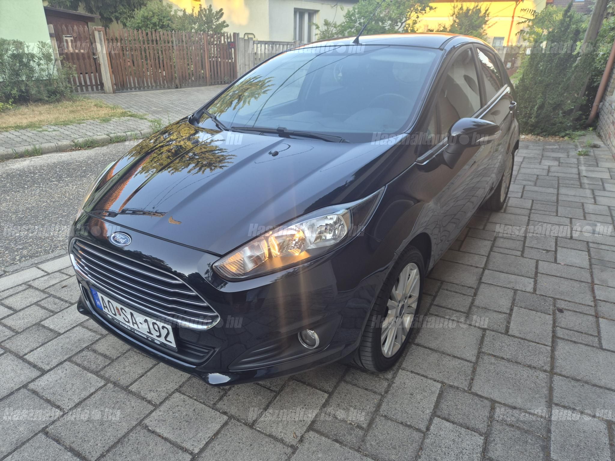 FORD FIESTA 2013/3 - 1