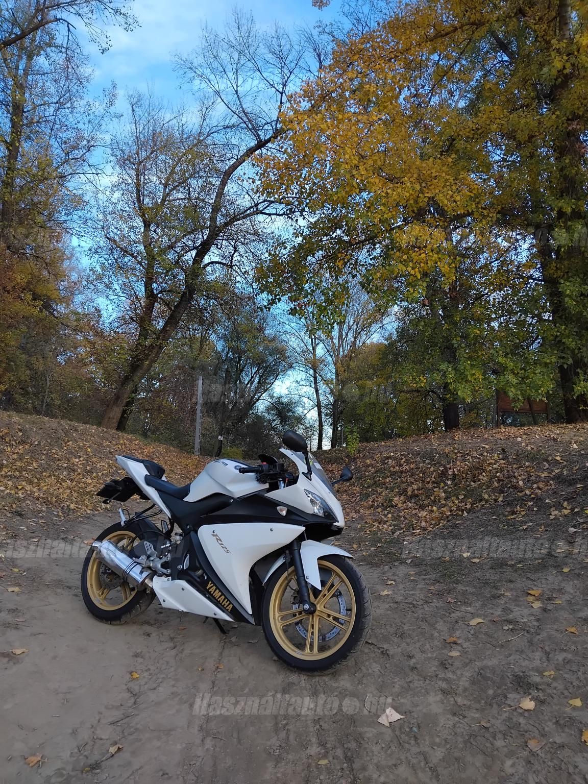 YAMAHA YZF R 125 2013/7 - 1