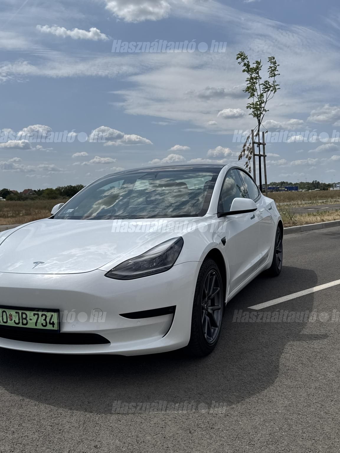 TESLA MODEL 3 2021/3 - 1