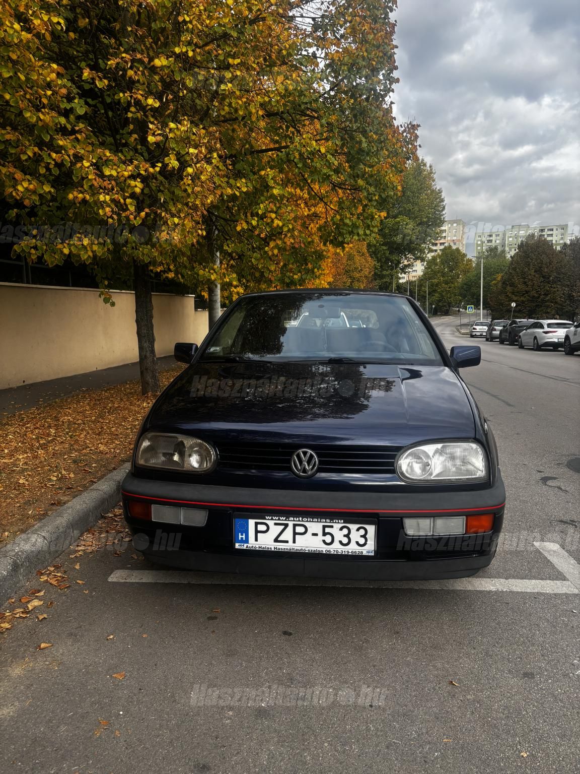 VOLKSWAGEN GOLF III 1994/4 - 1