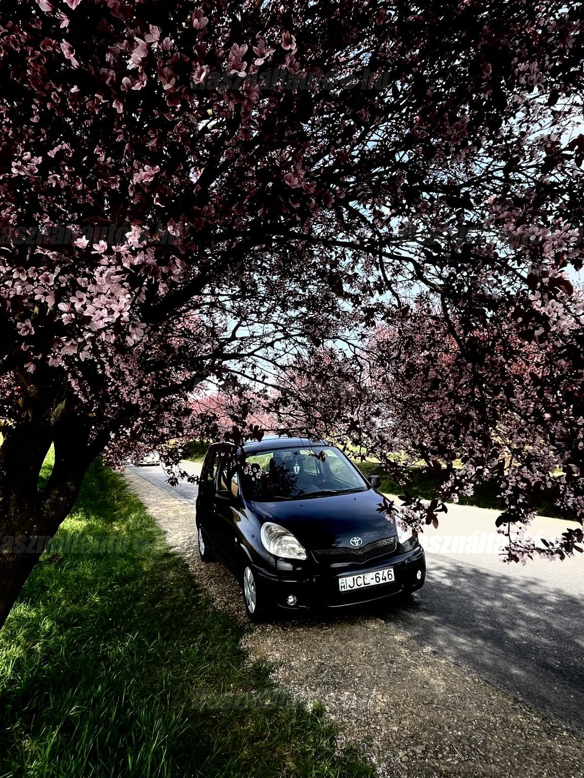 TOYOTA YARIS VERSO 2002 - 1