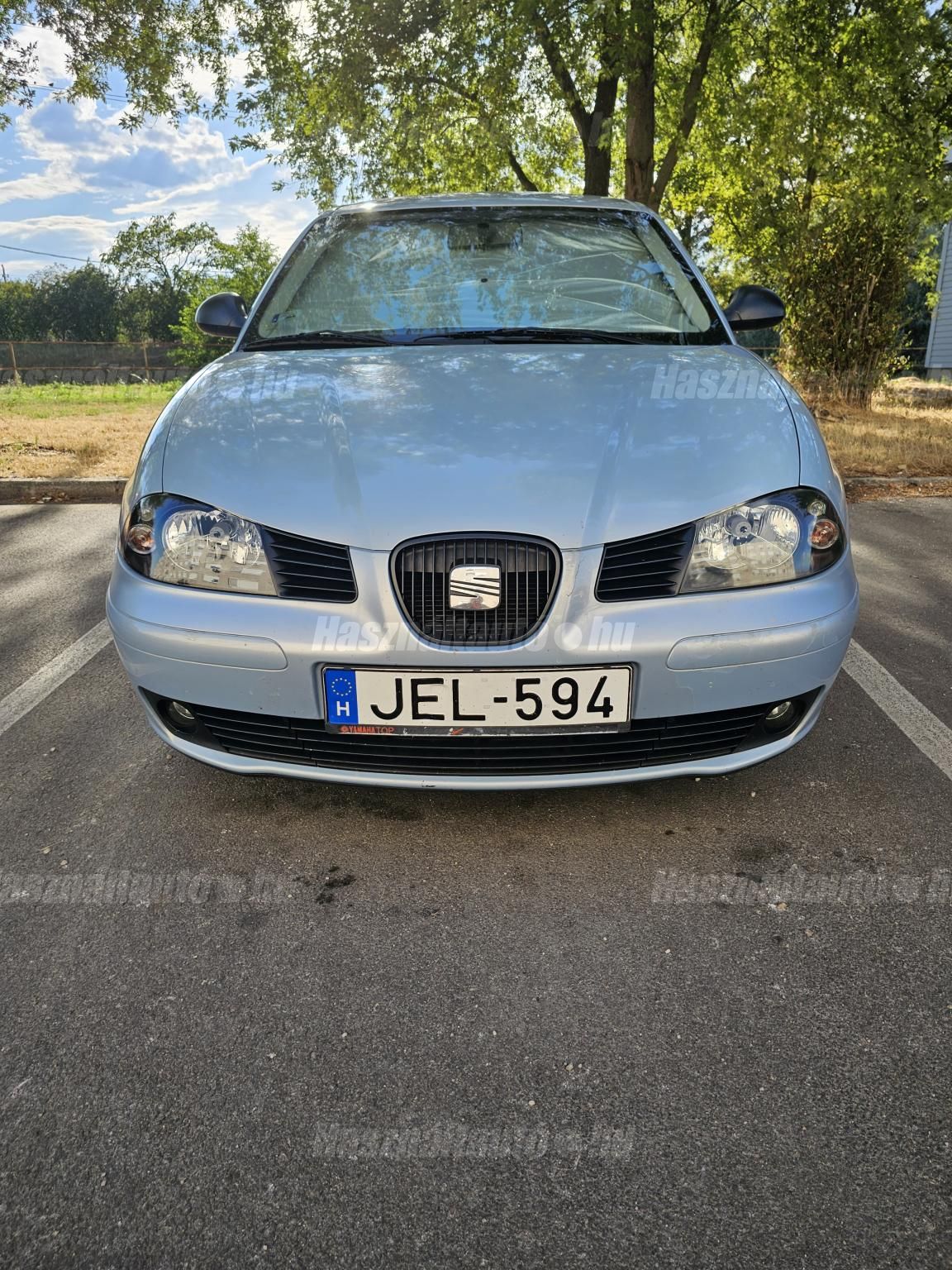 SEAT IBIZA 2004/6 - 1