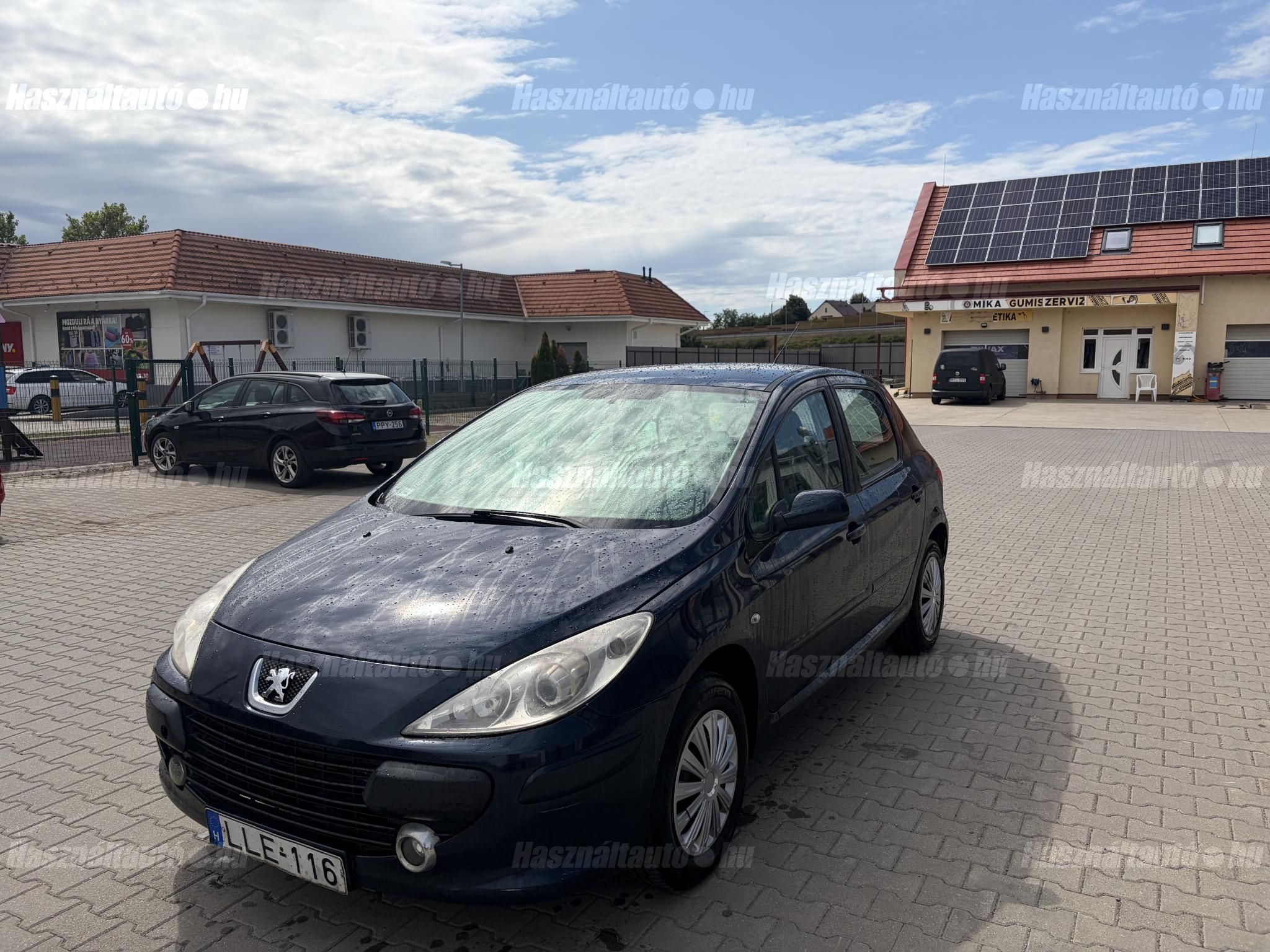 PEUGEOT 307 2006/10 - 1