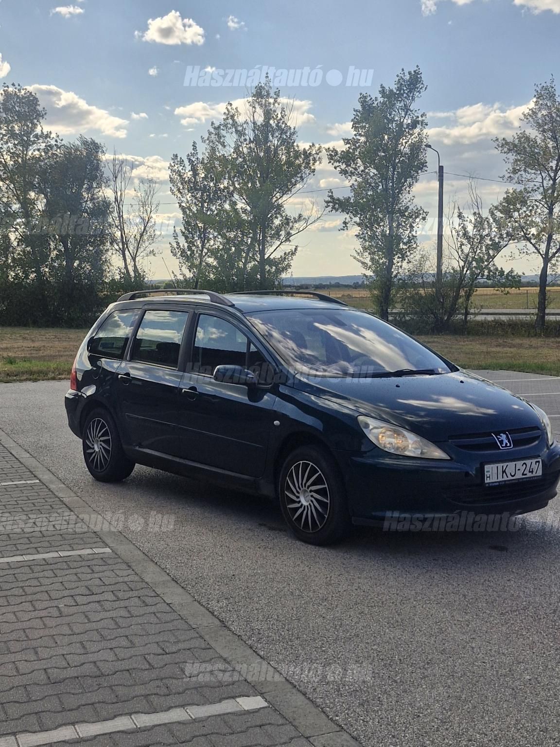 PEUGEOT 307 2003/1 - 1