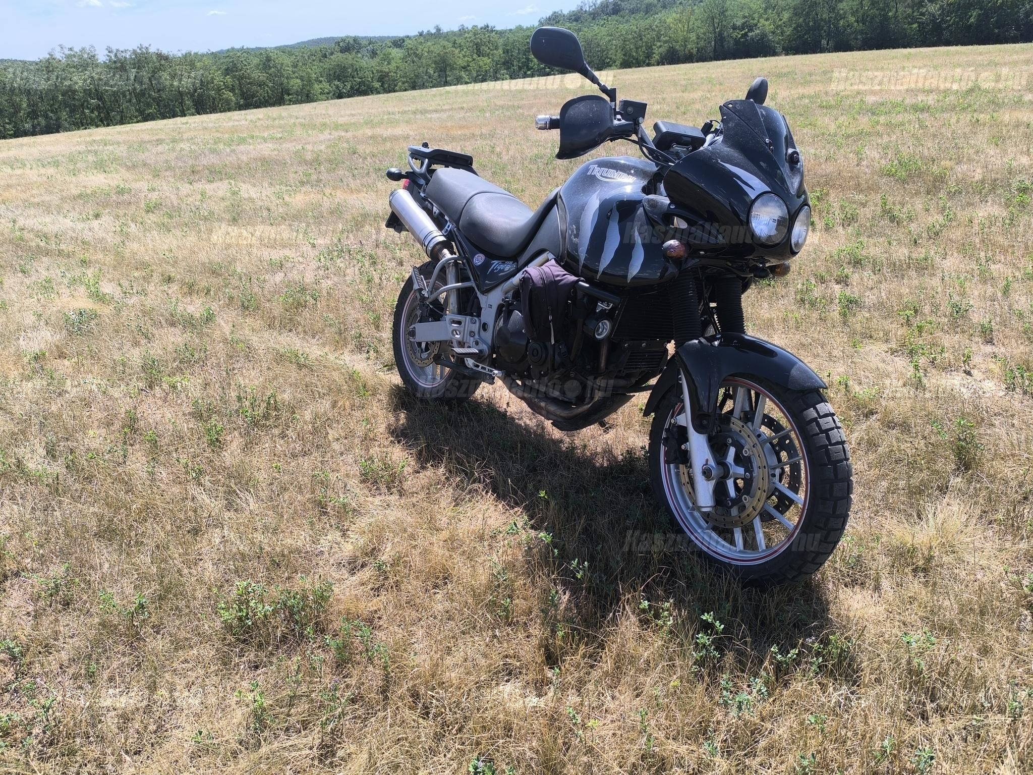 TRIUMPH TIGER 2006 - 1