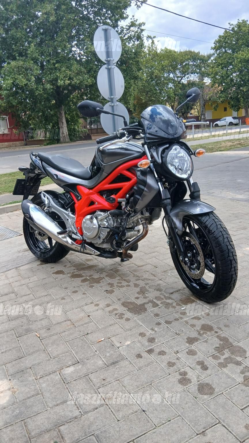 SUZUKI SFV 2015 - 1