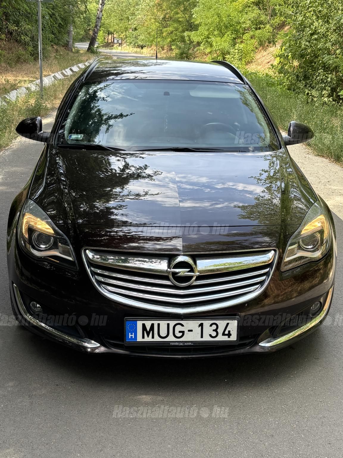 OPEL INSIGNIA 2014/6 - 1