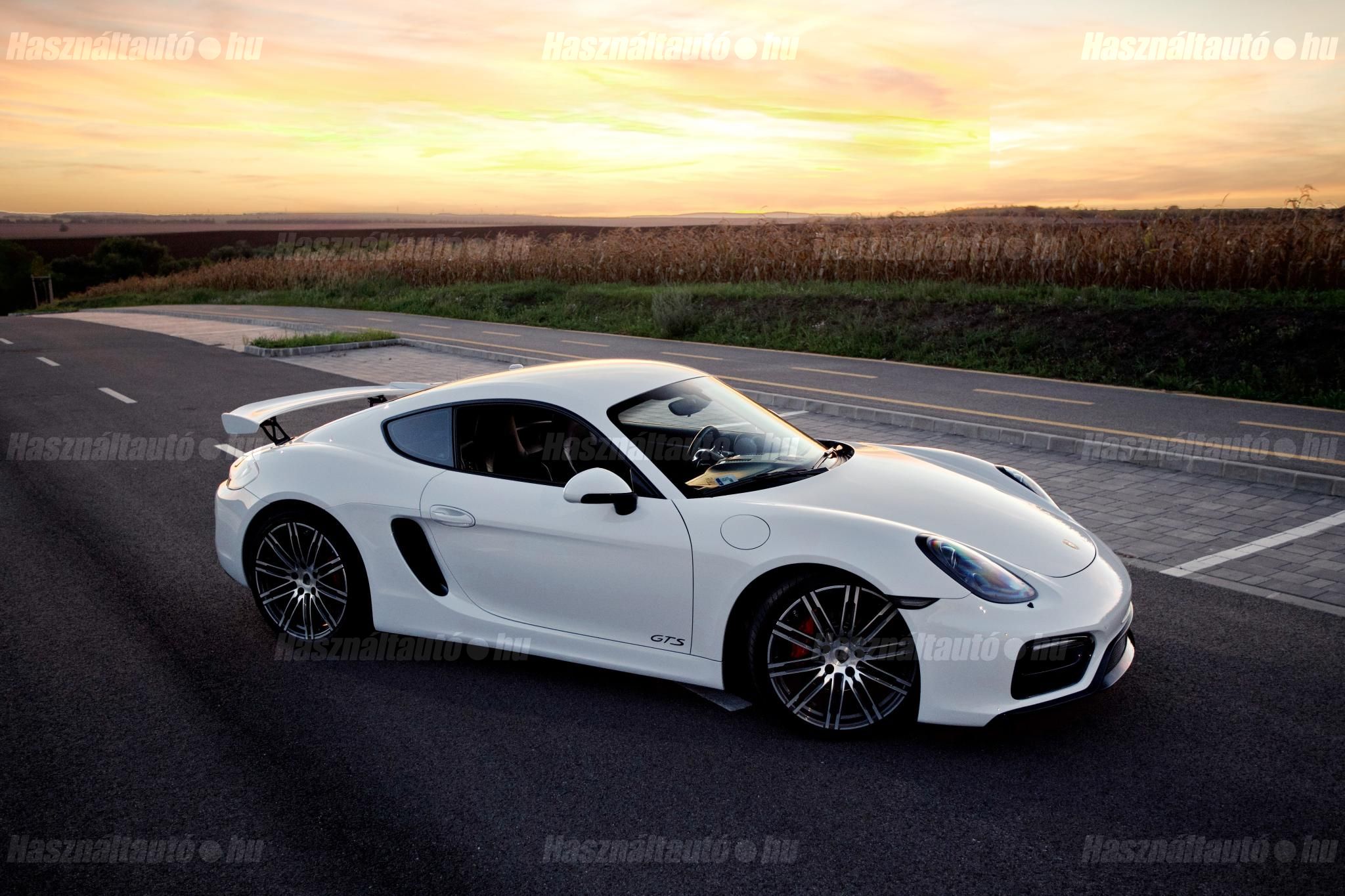 PORSCHE CAYMAN 2015/1 - 1