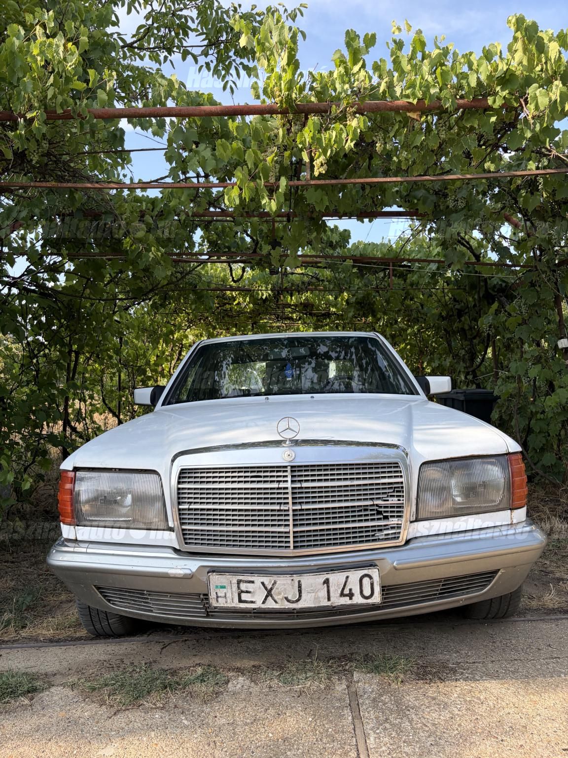 MERCEDES-BENZ W 126 1982/12 - 1