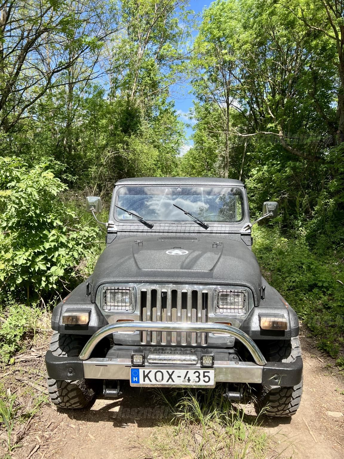 JEEP WRANGLER 1988/5 - 1