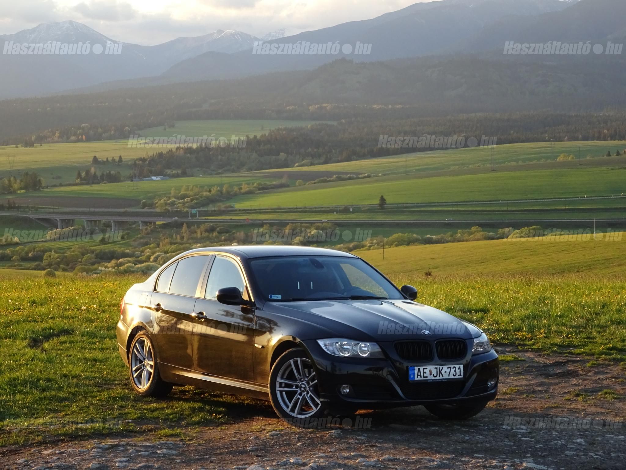 BMW 318 2011/5 - 1