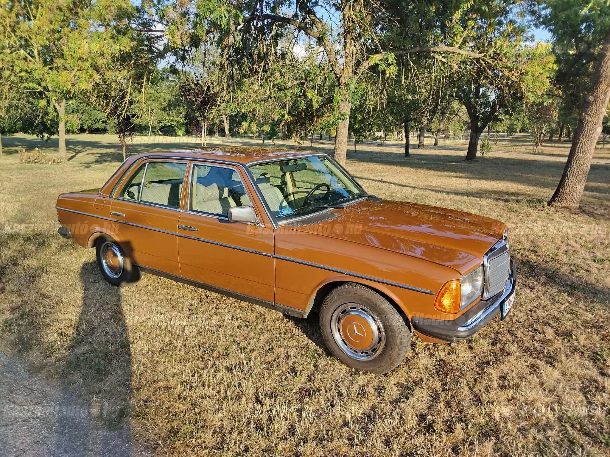 MERCEDES-BENZ W 123 1979/4 - 1