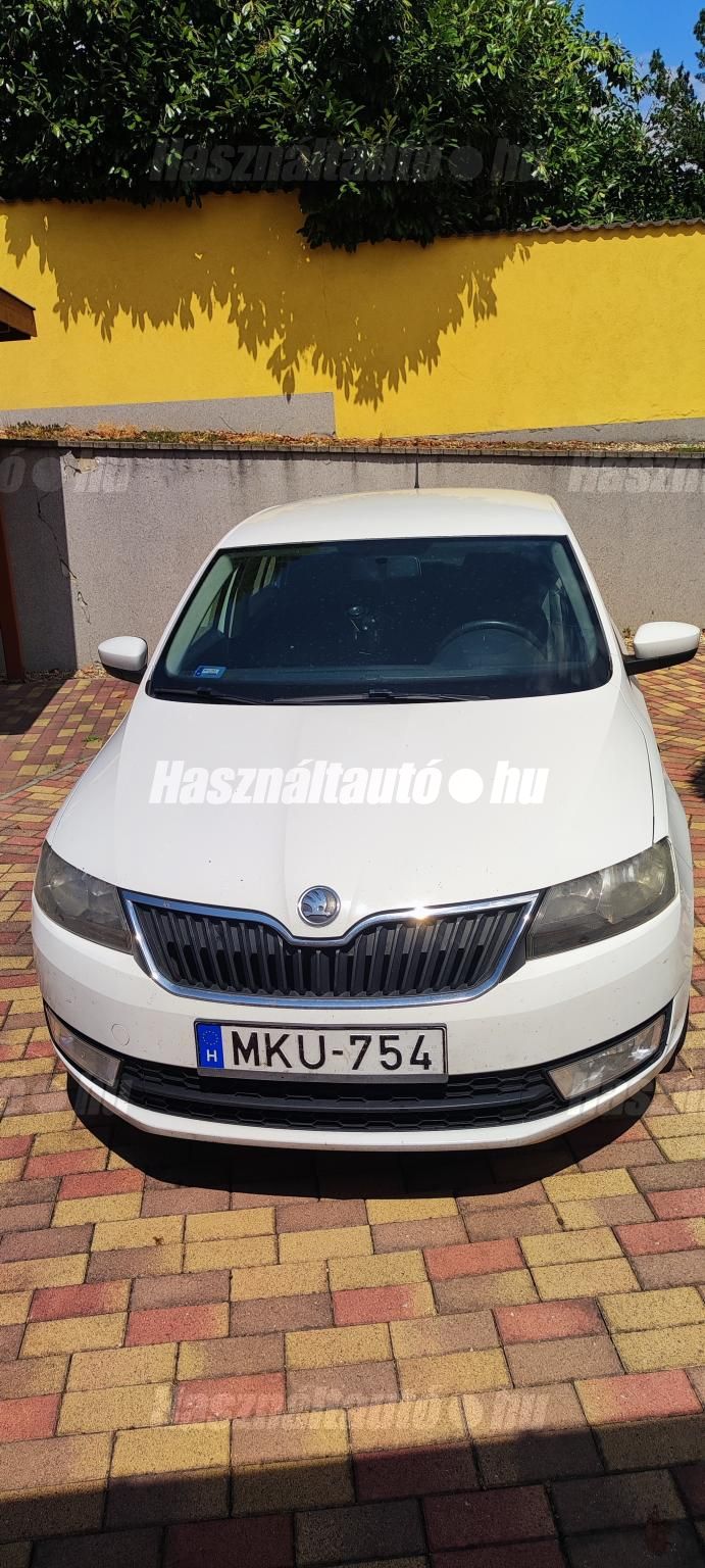 SKODA RAPID 2013/7 - 1