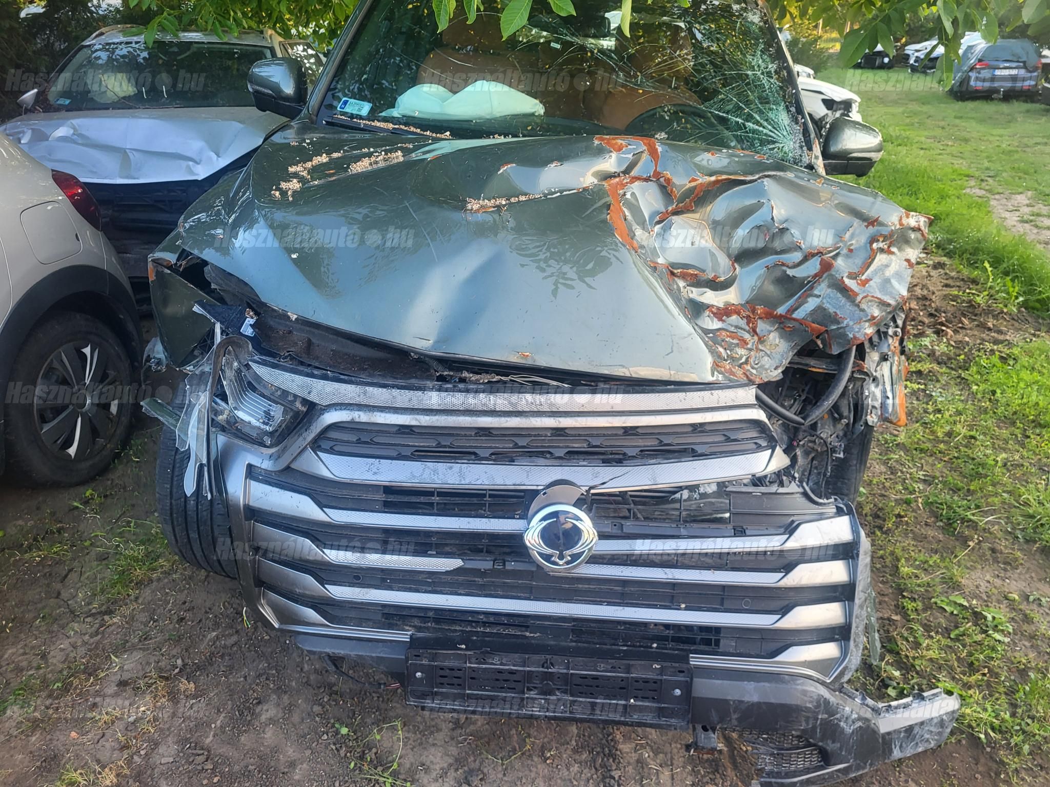 SSANGYONG MUSSO 2023/5 - 1