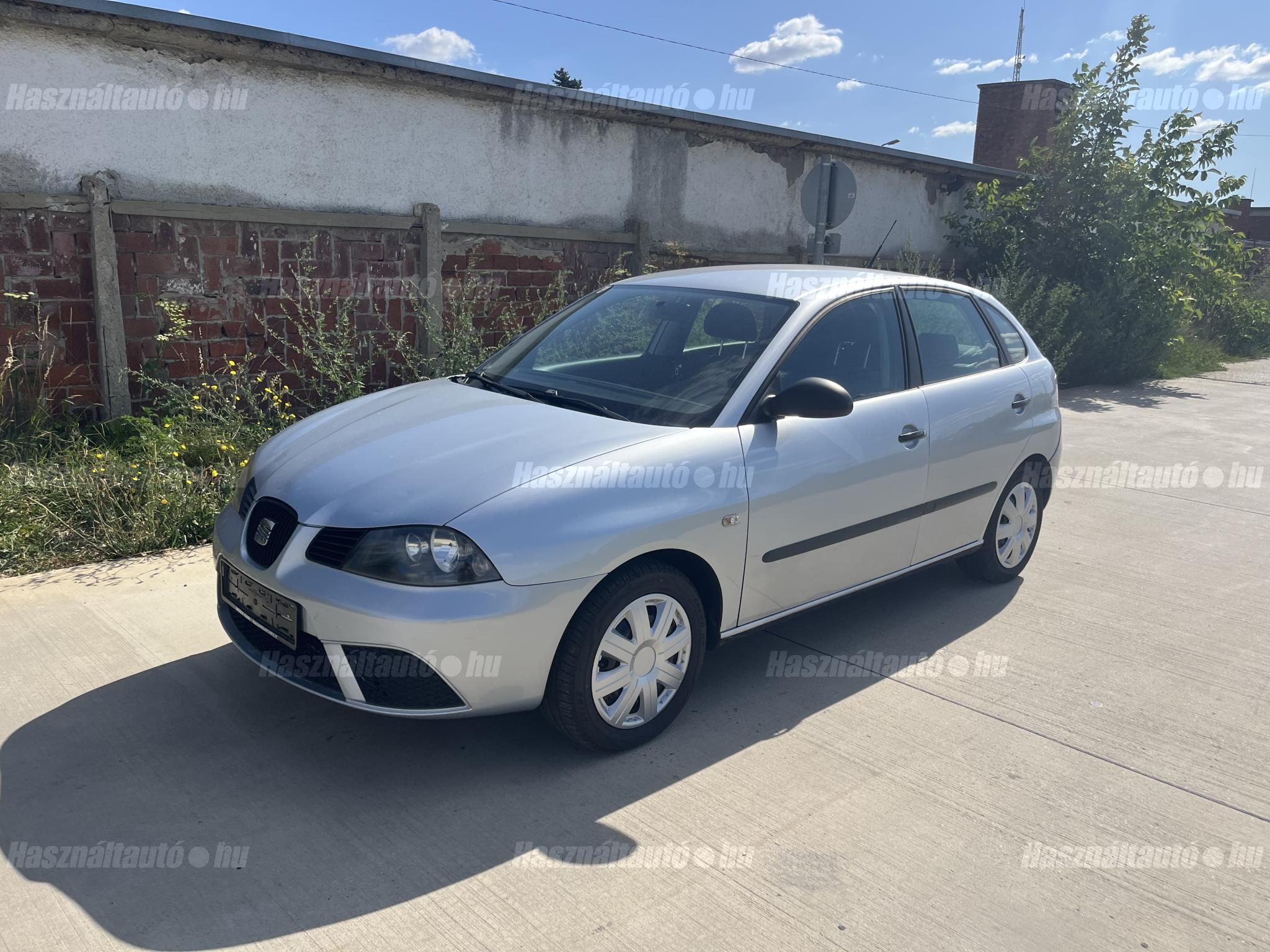 SEAT IBIZA 2010/1 - 1