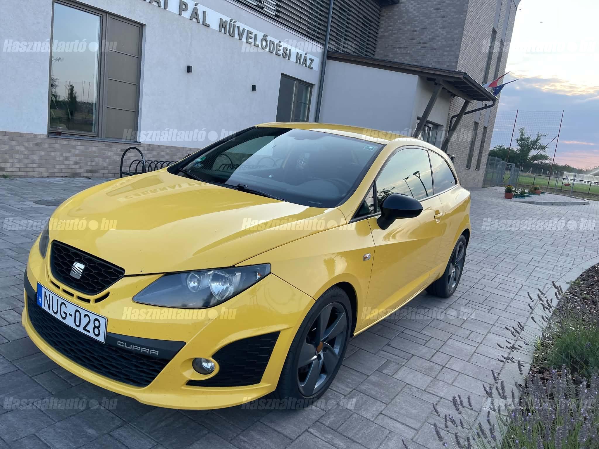 SEAT IBIZA 2010 - 1
