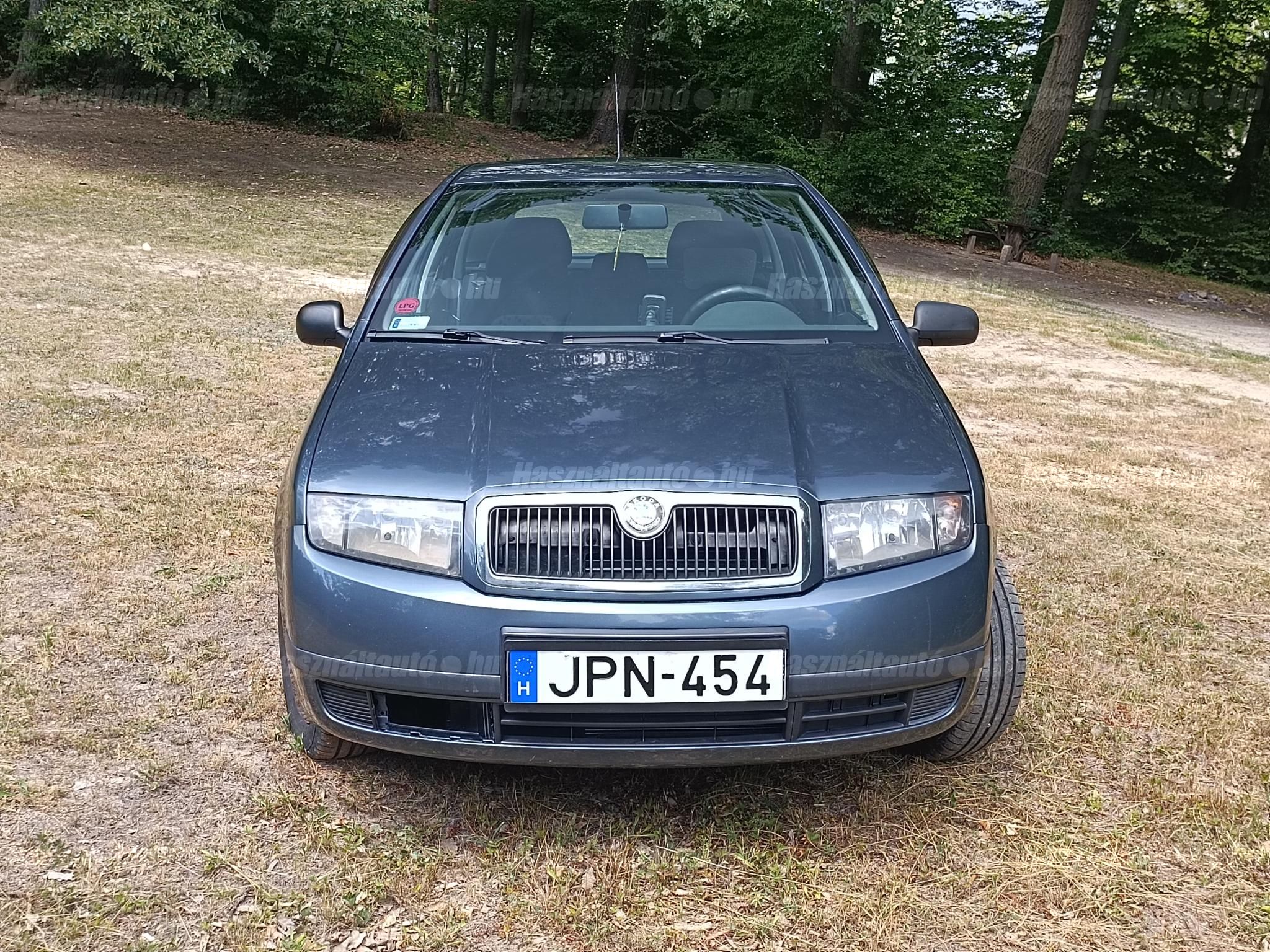 SKODA FABIA 2005 - 1