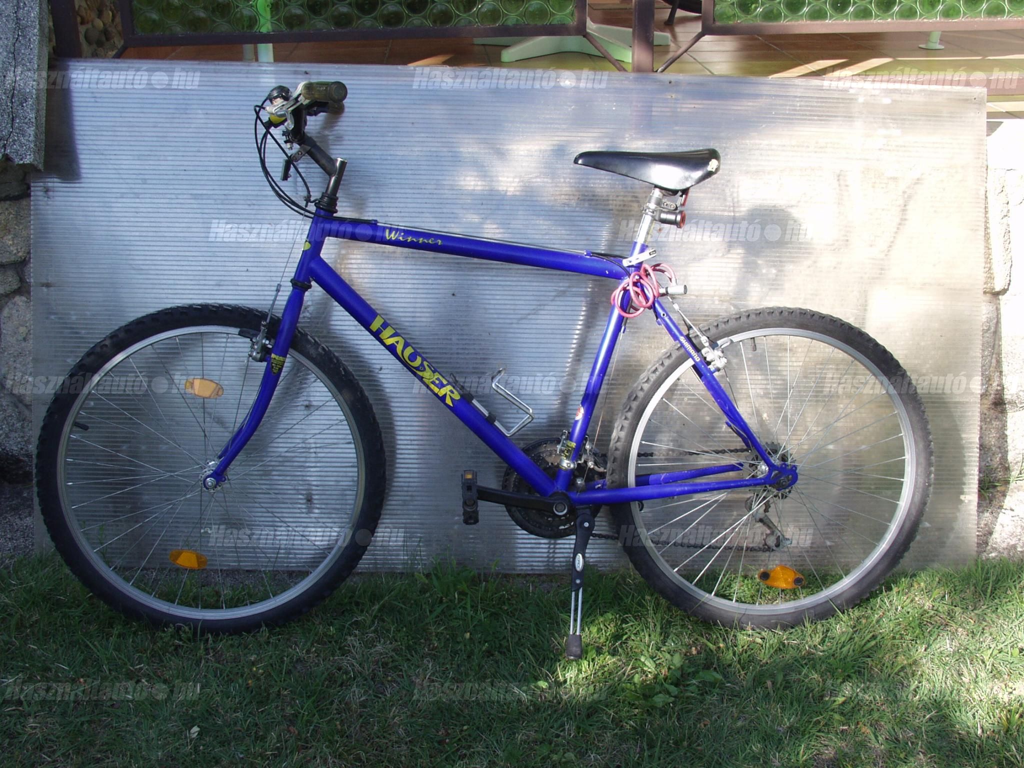 BICYCLE 2013/1 - 1