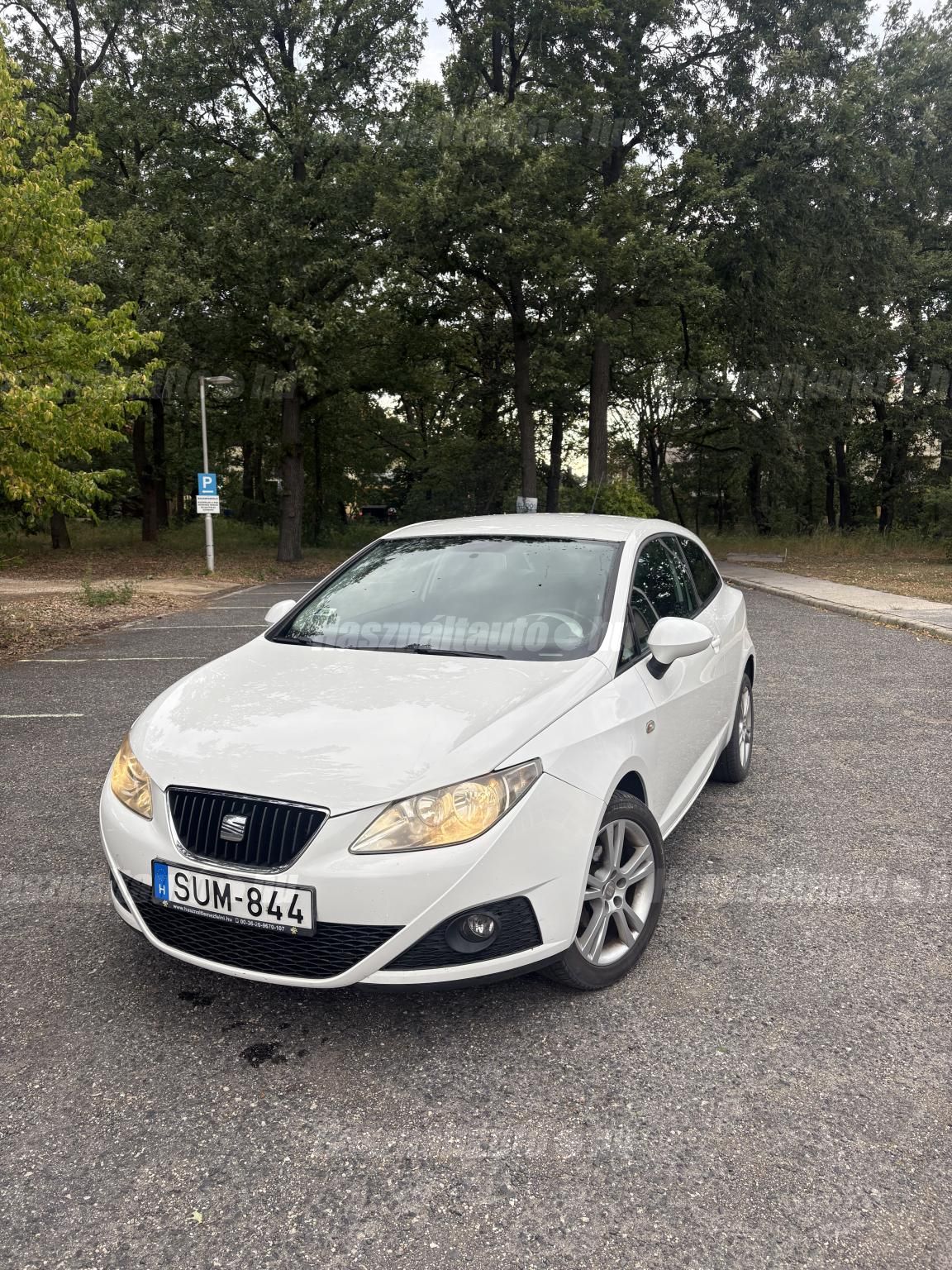 SEAT IBIZA 2009 - 1