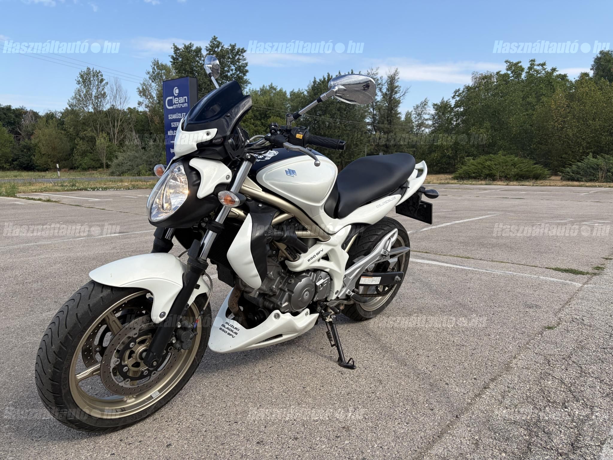 SUZUKI SFV 2009 - 1