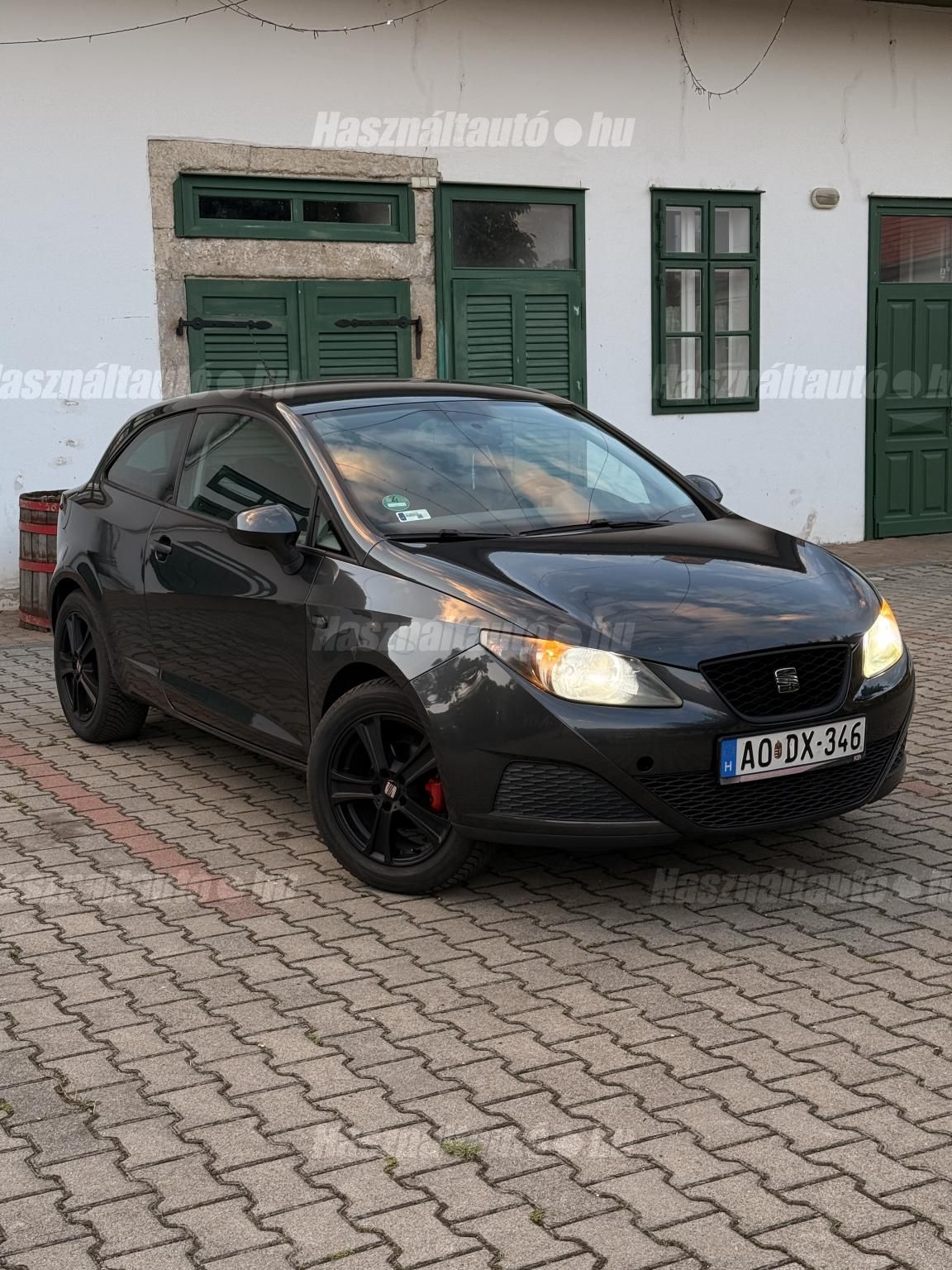 SEAT IBIZA 2010/2 - 1