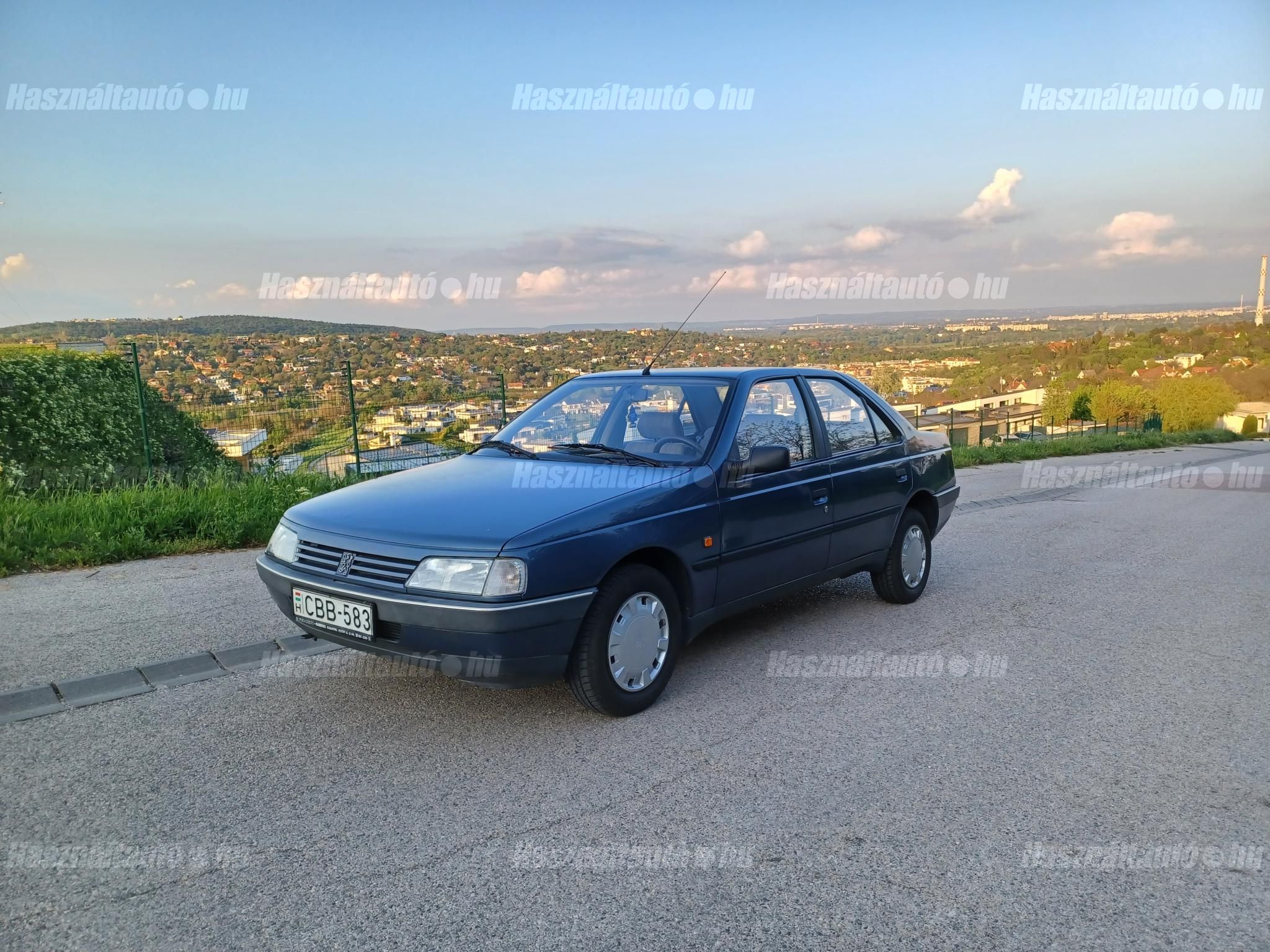PEUGEOT 405 1991/9 - 1