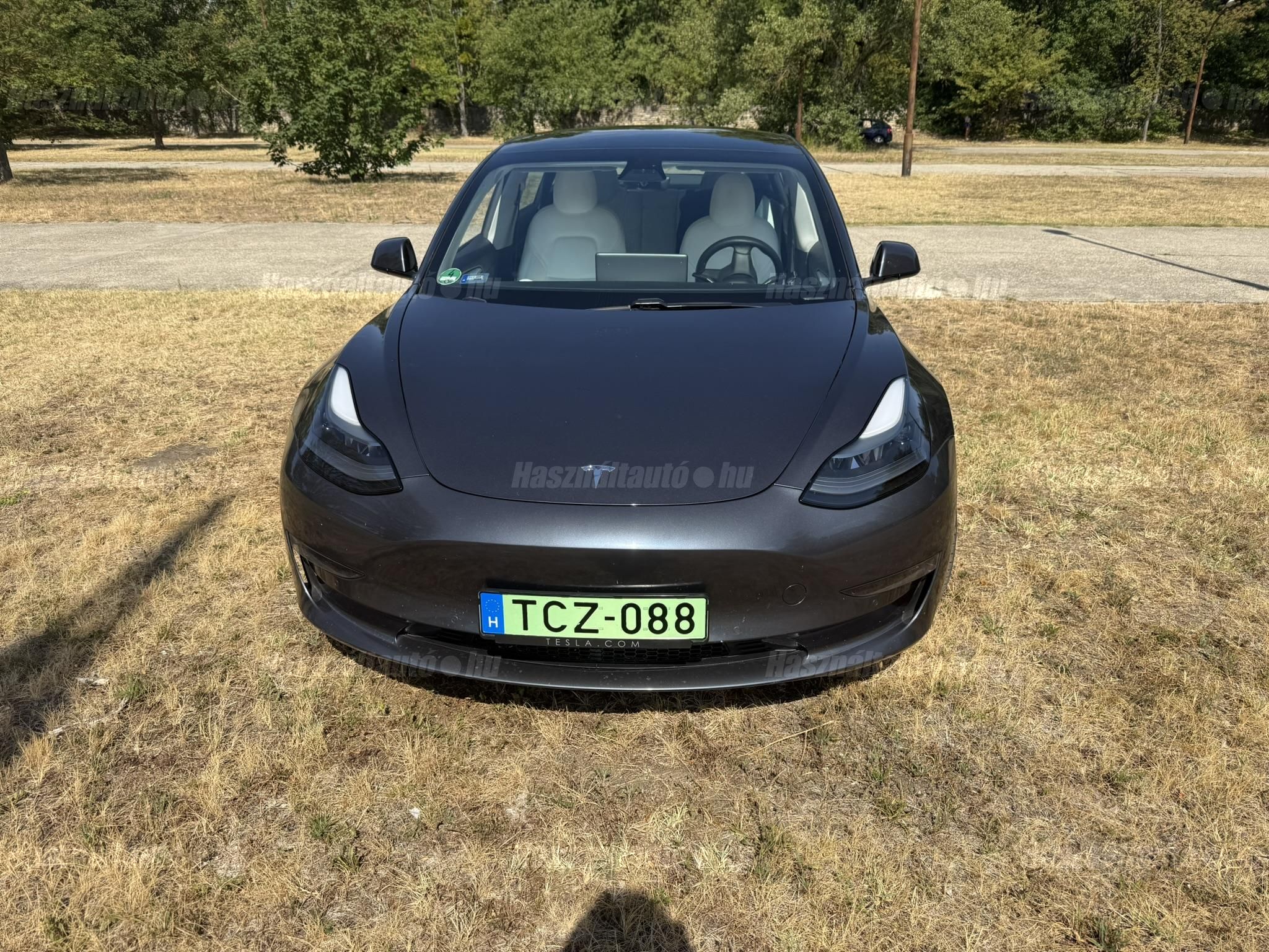 TESLA MODEL 3 2021/6 - 1