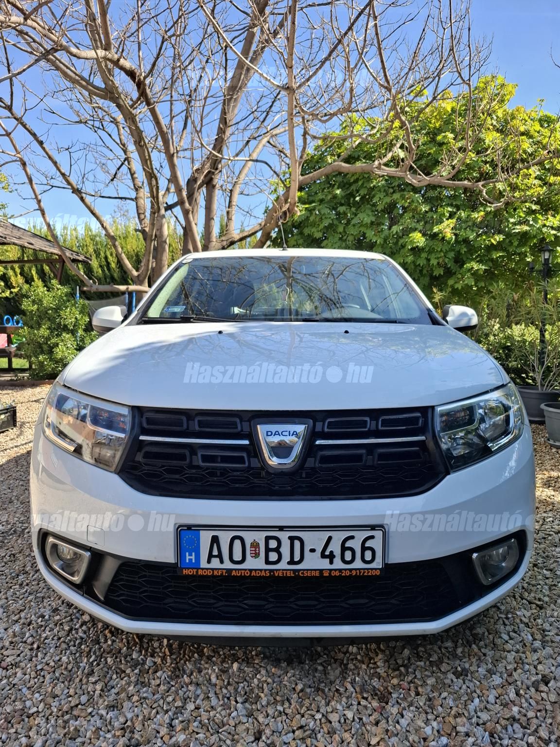 DACIA SANDERO 2019/3 - 1