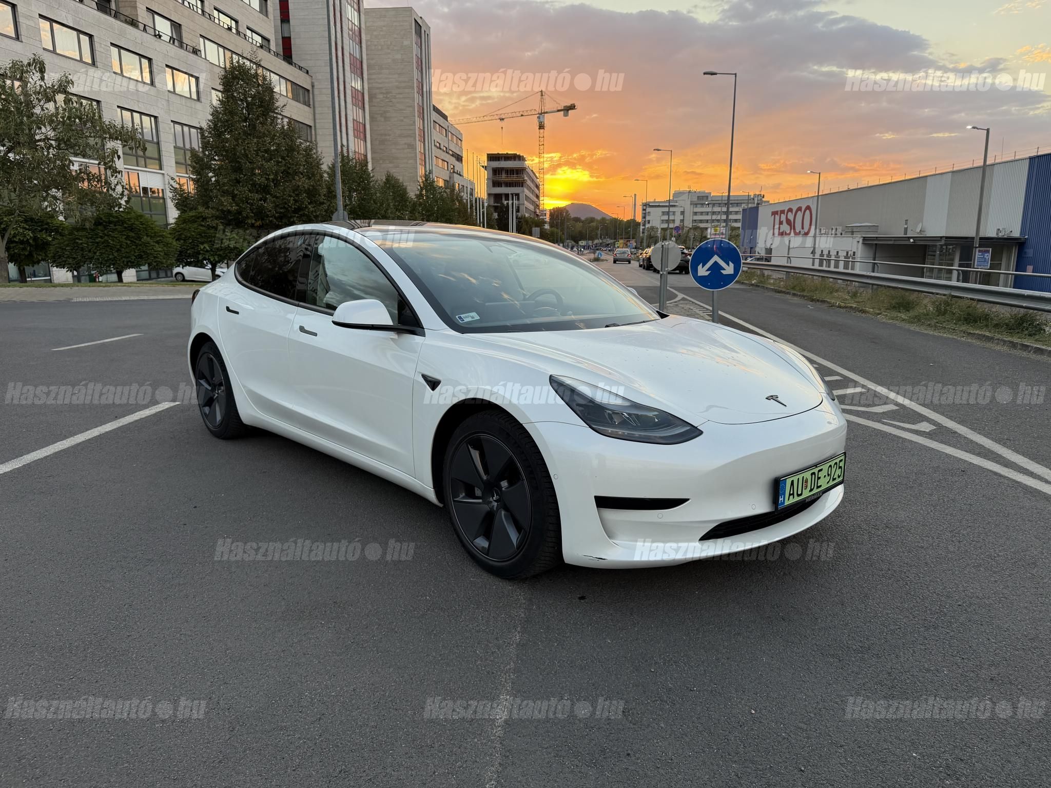 TESLA MODEL 3 2021/3 - 1