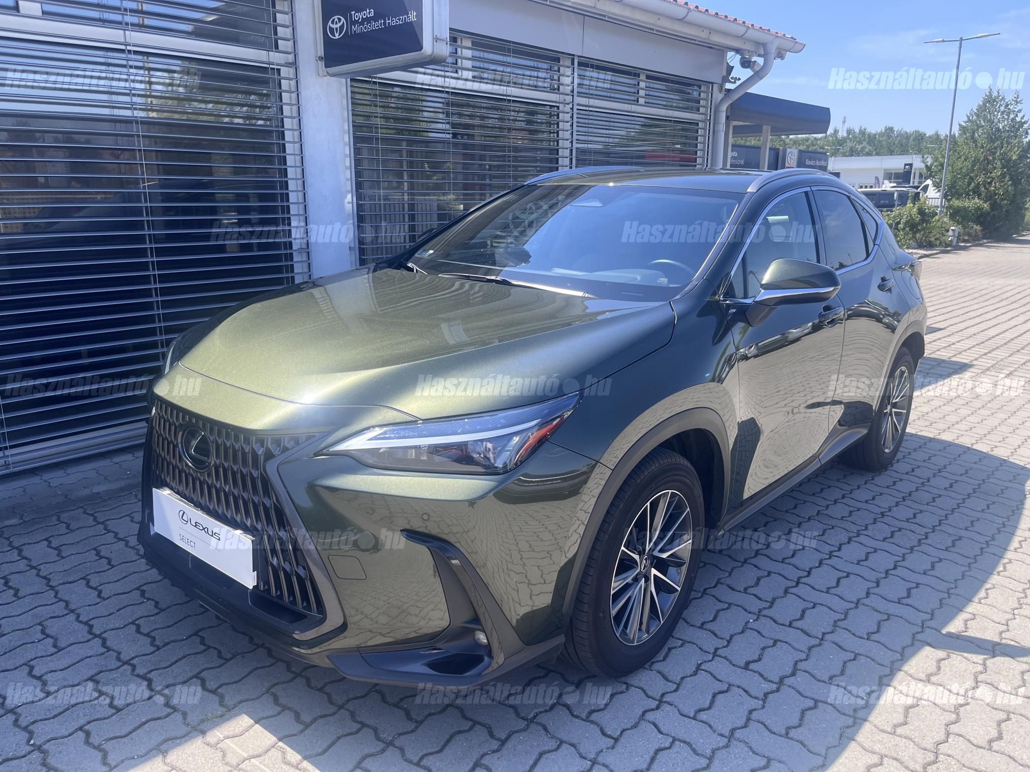 LEXUS NX 2025/7 - 1