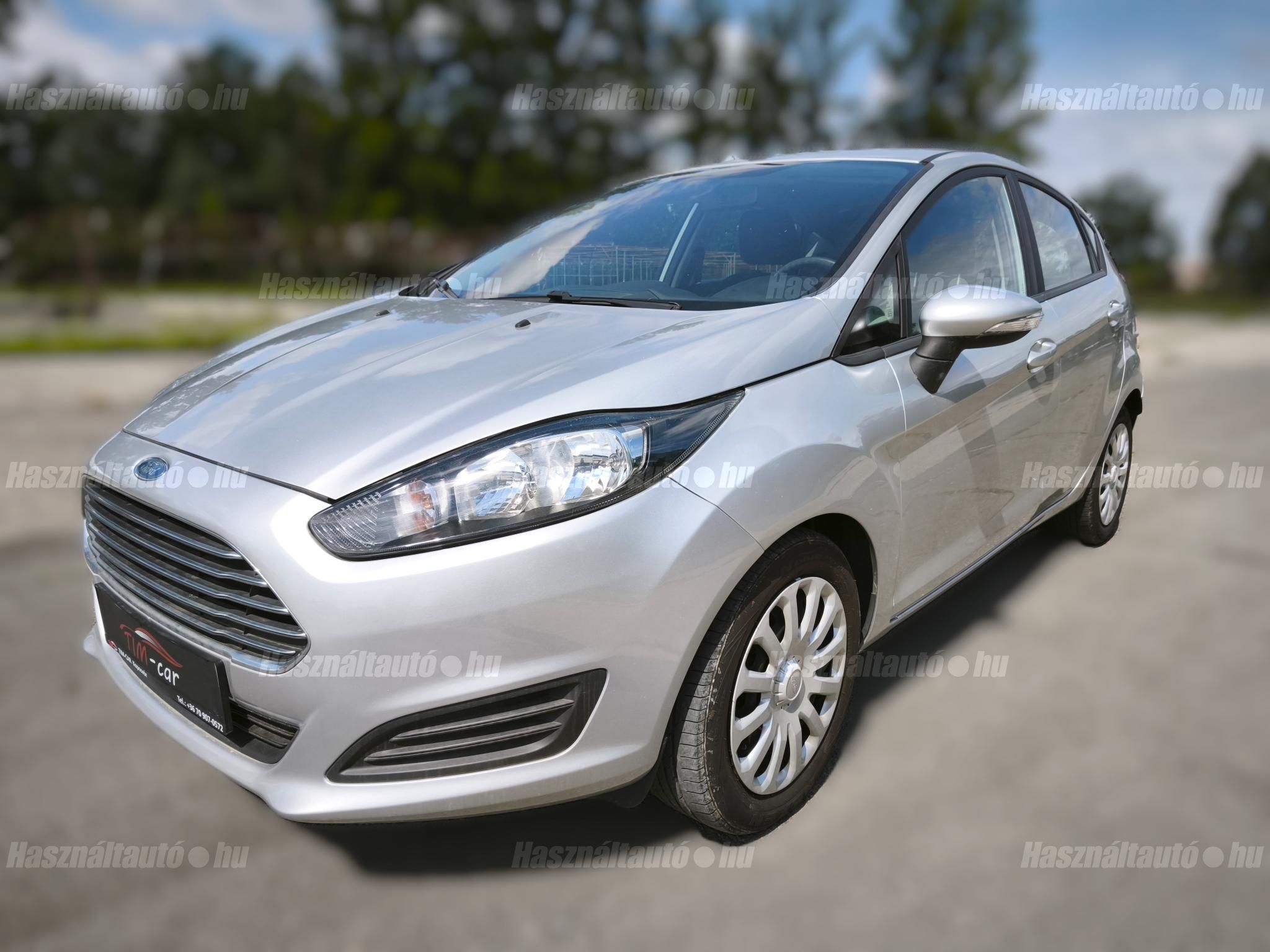 FORD FIESTA 2013/6 - 1