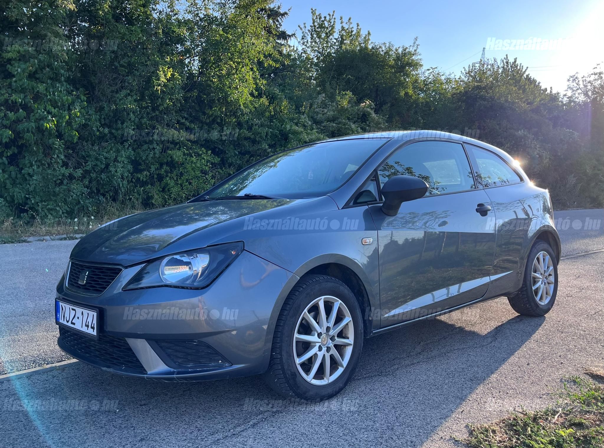 SEAT IBIZA 2013/11 - 1